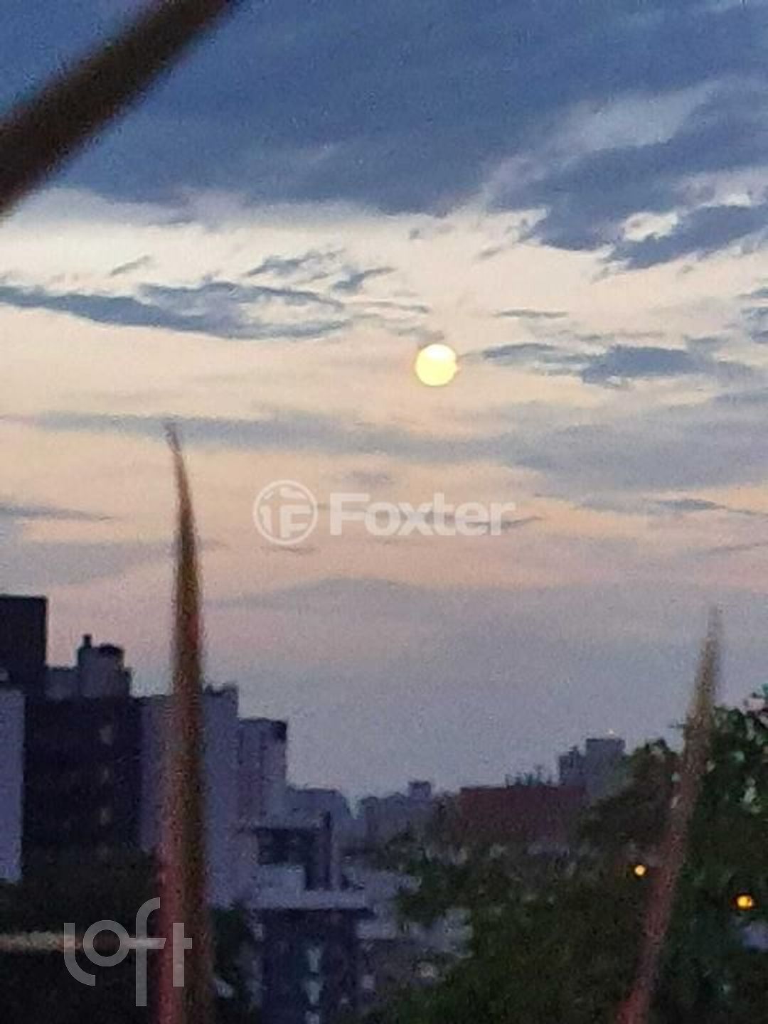 Imagem da propriedade 41