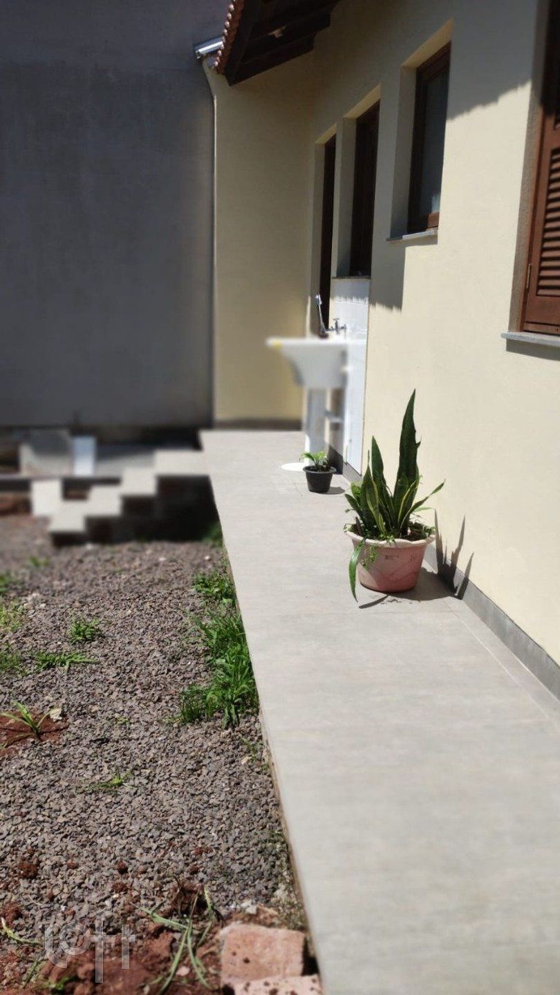 Imagem da propriedade 12