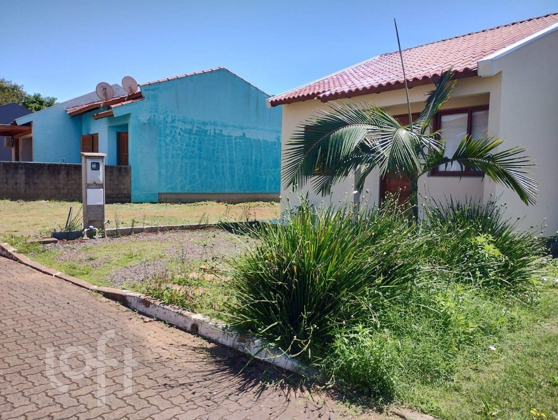 Imagem da propriedade 4