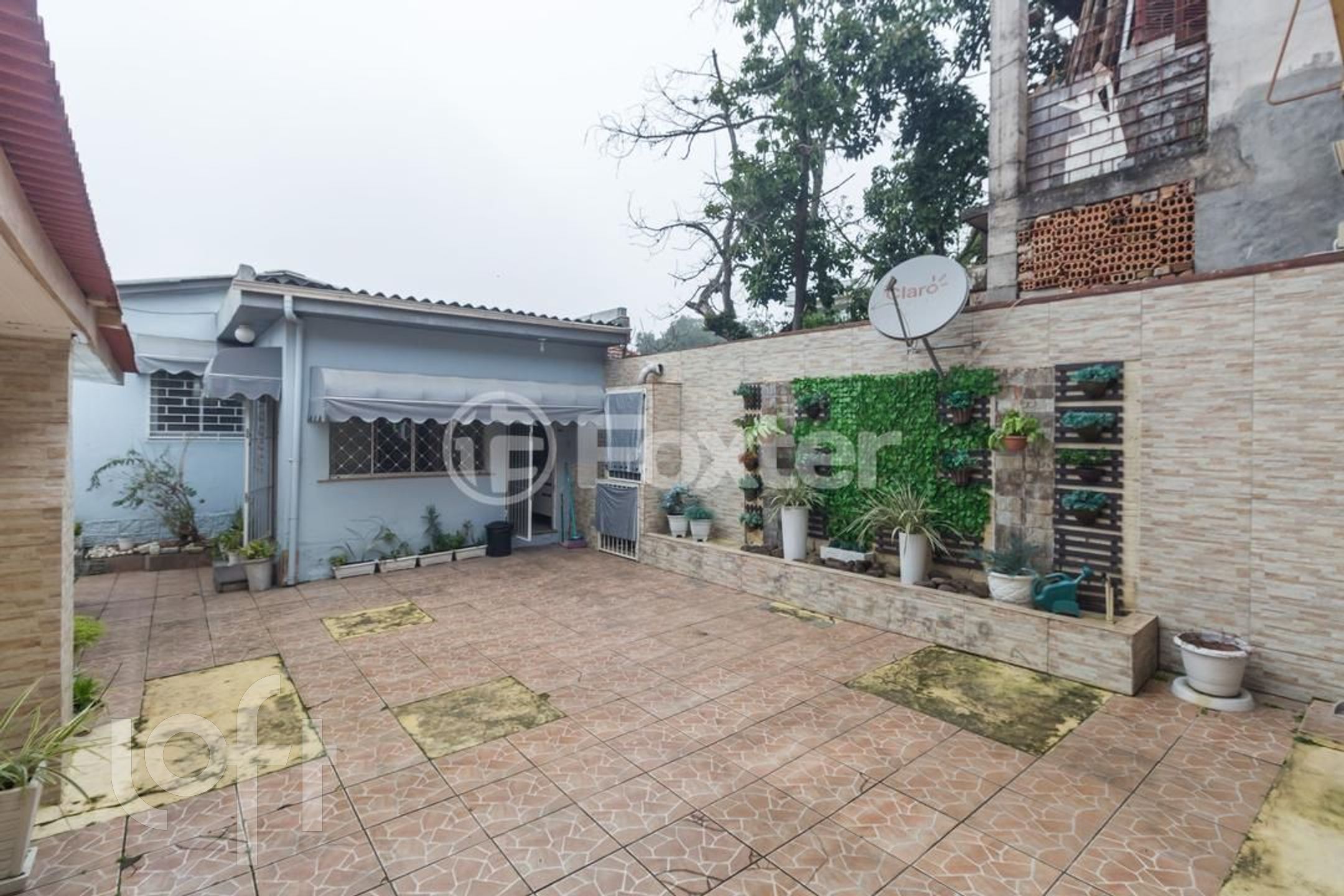 Imagem da propriedade 25