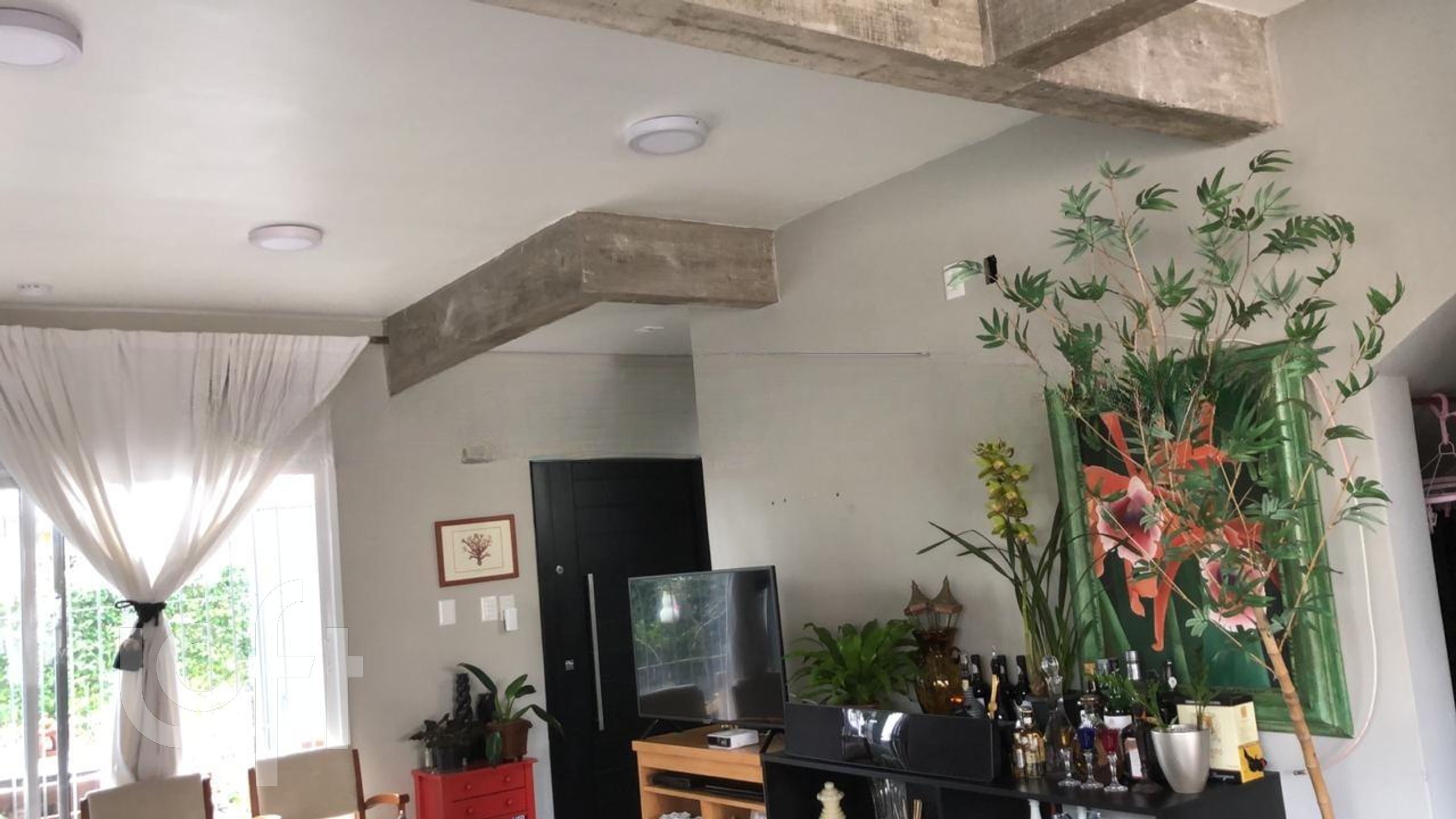 Imagem da propriedade 6