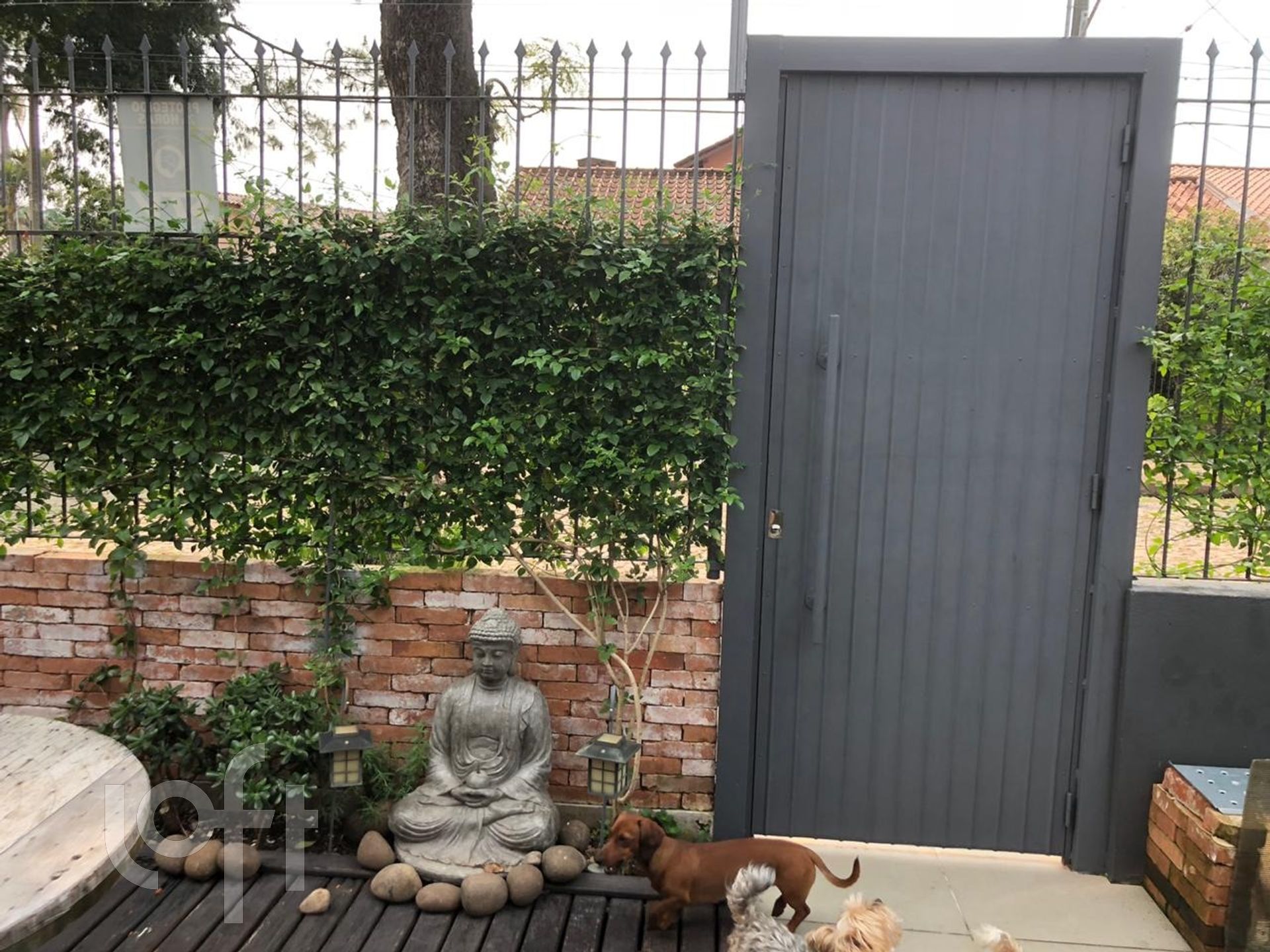 Imagem da propriedade 3