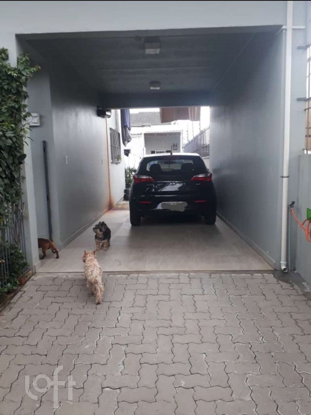 Imagem da propriedade 36