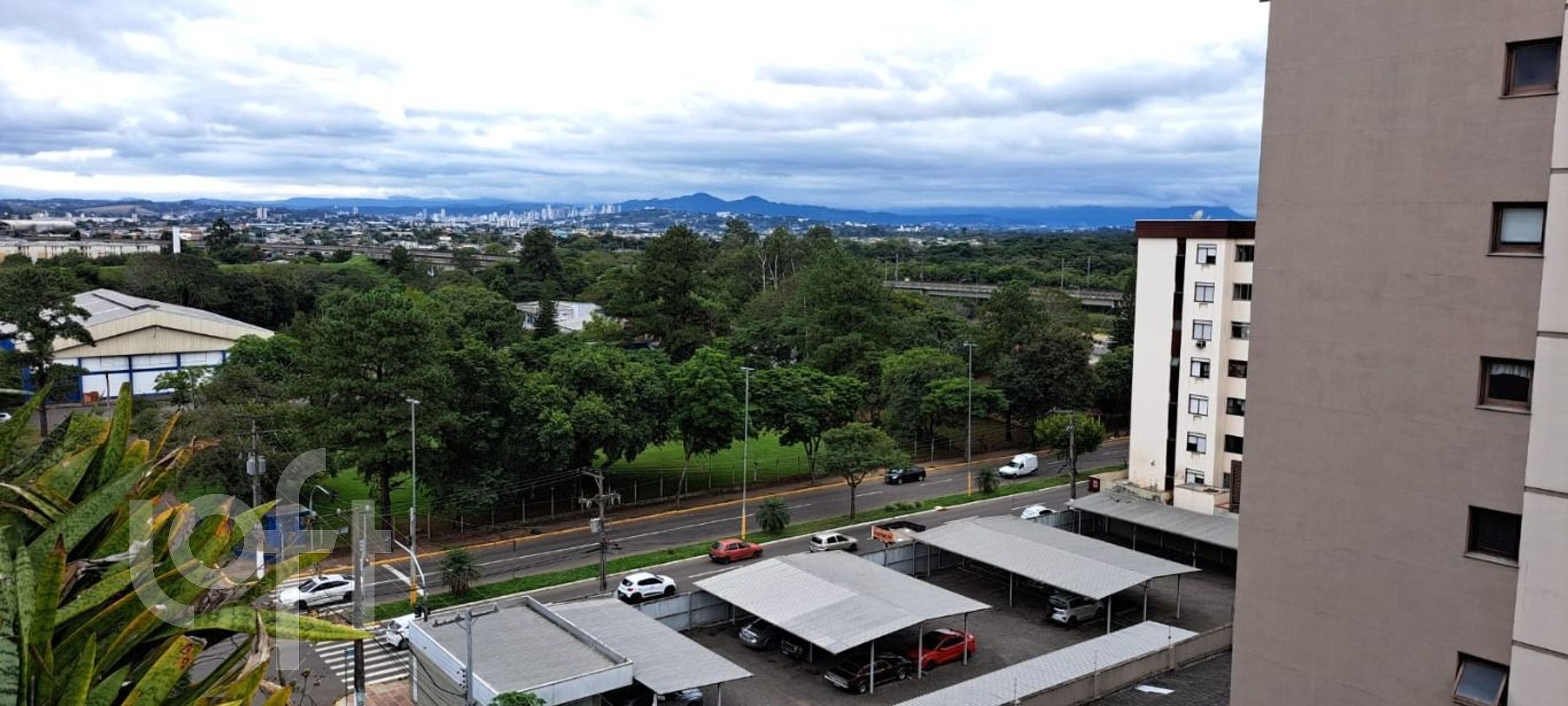 Imagem da propriedade 5