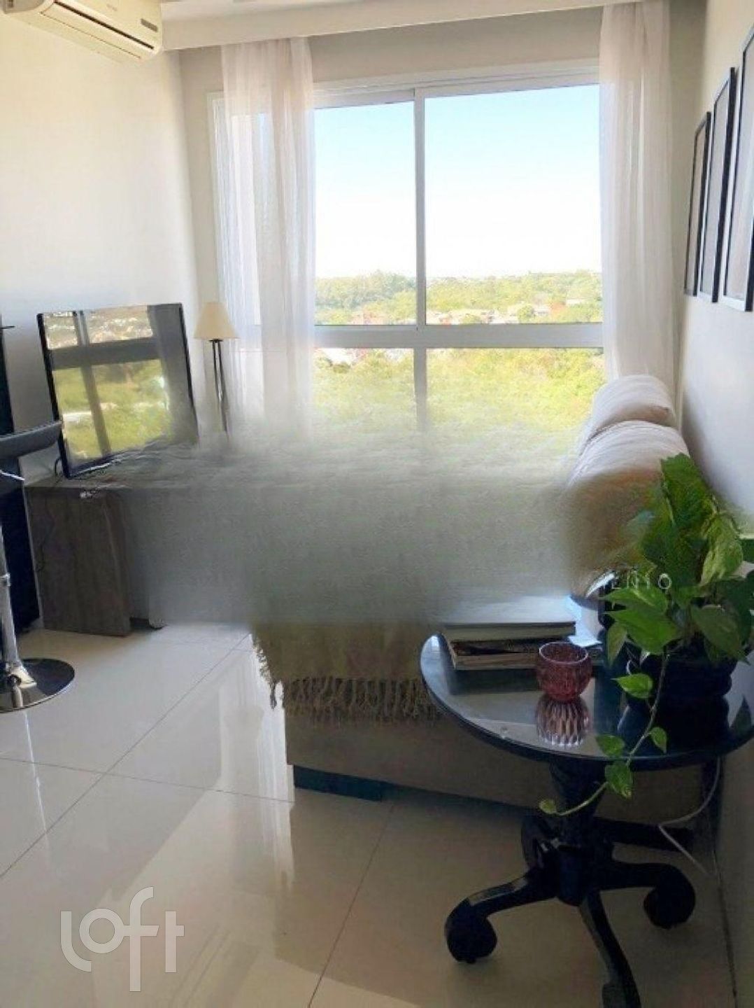 Imagem da propriedade 3