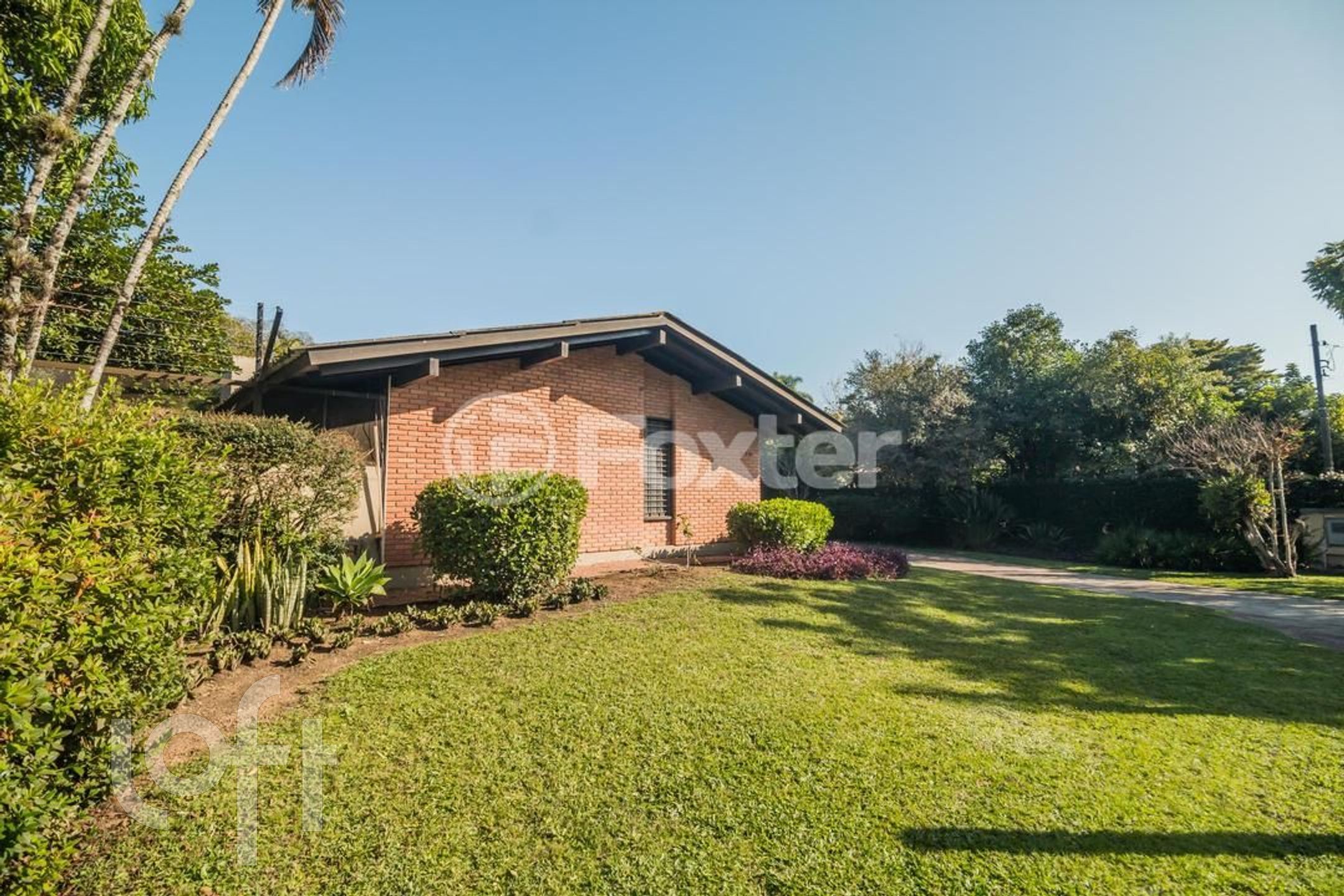 Imagem da propriedade 65