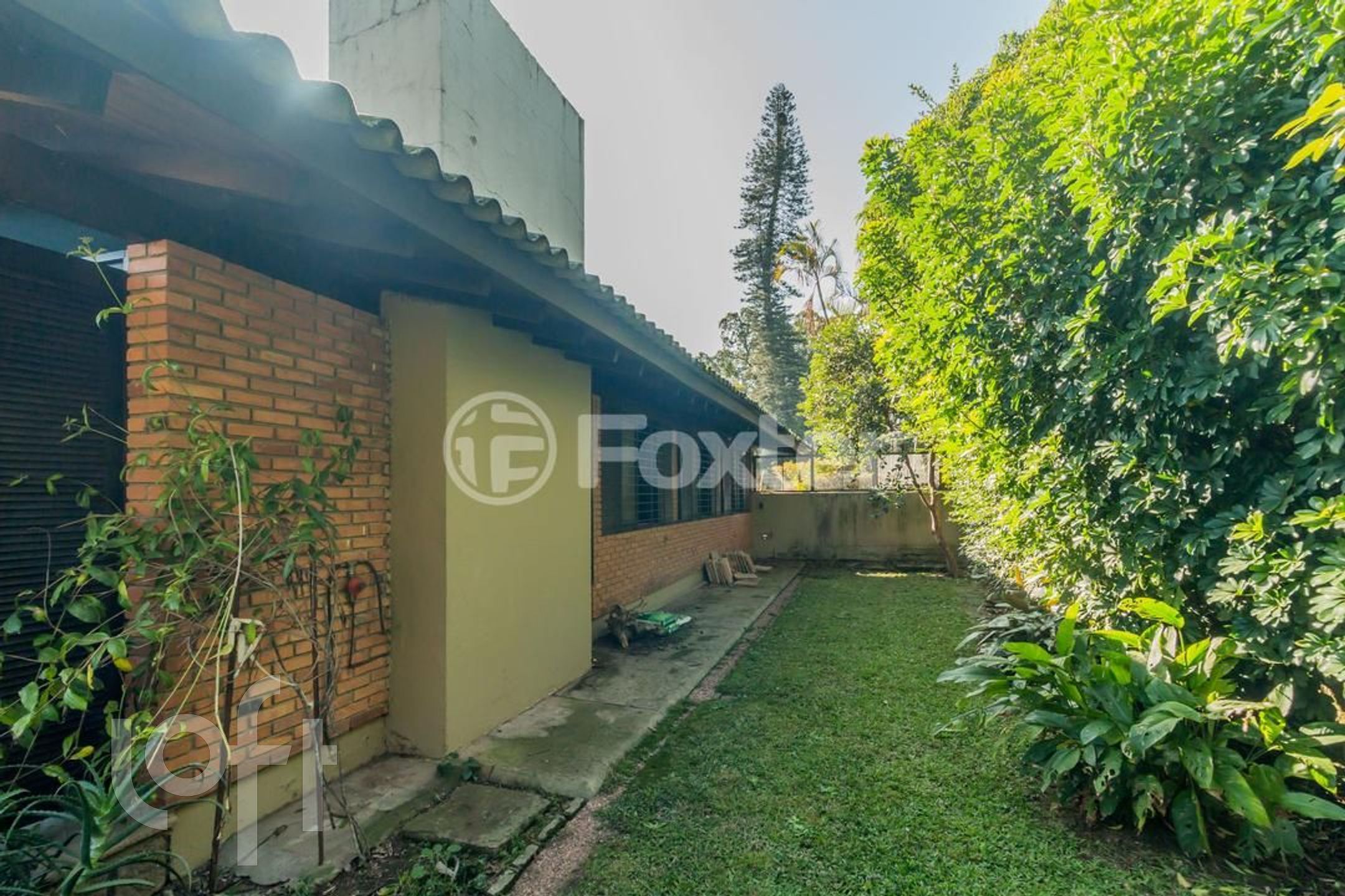 Imagem da propriedade 51