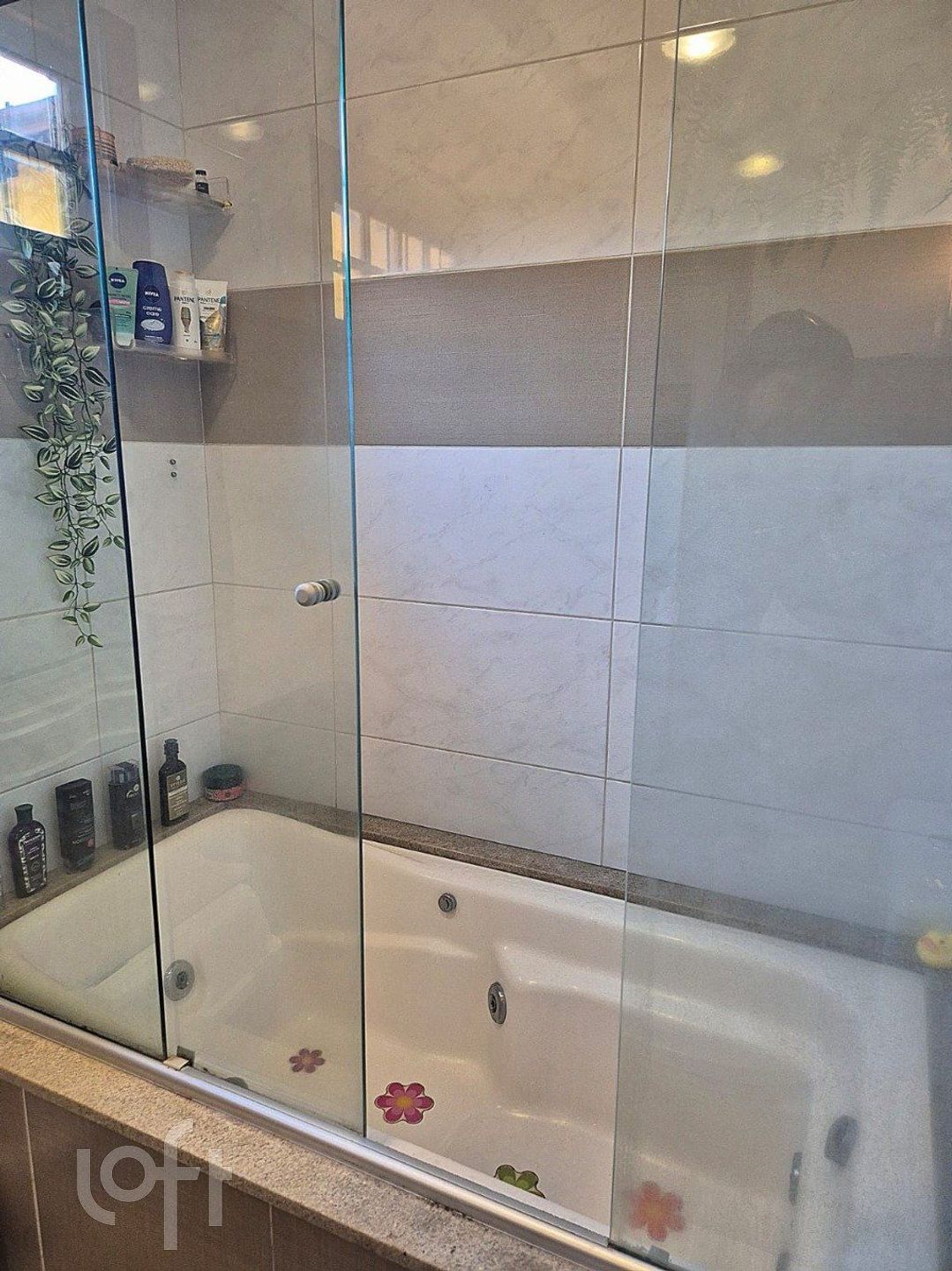 Imagem da propriedade 34