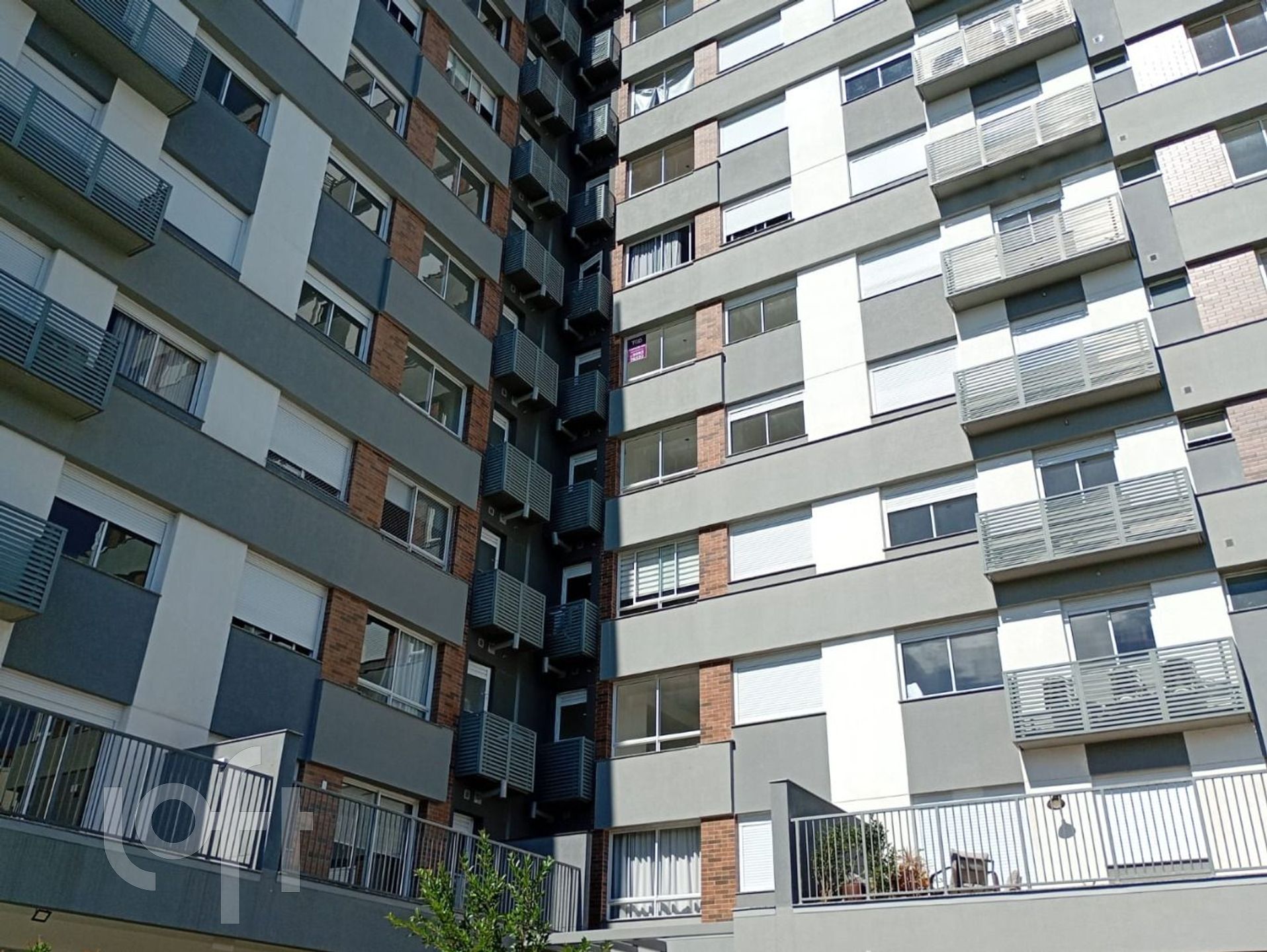 Imagem da propriedade 17