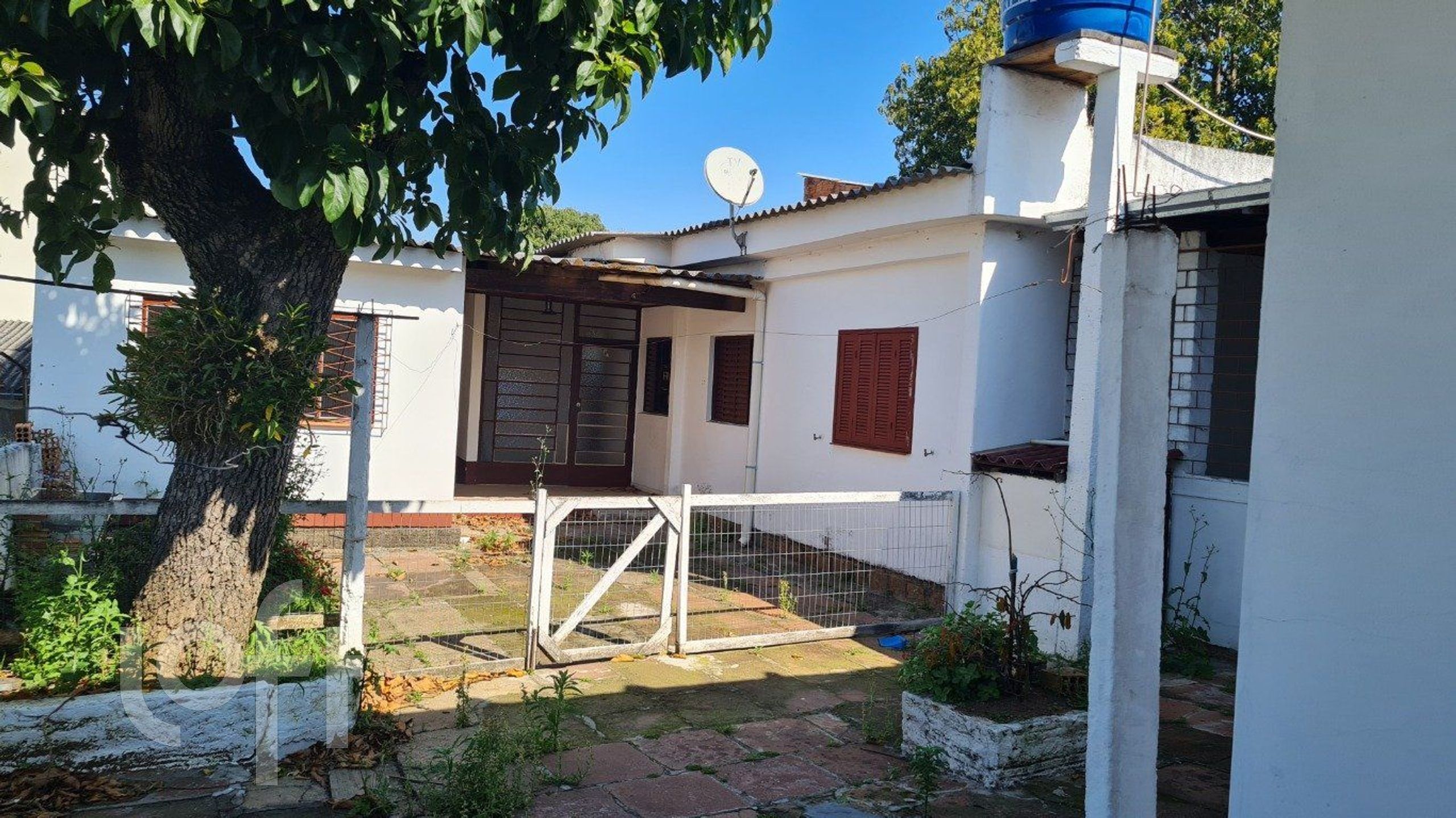 Imagem da propriedade 11