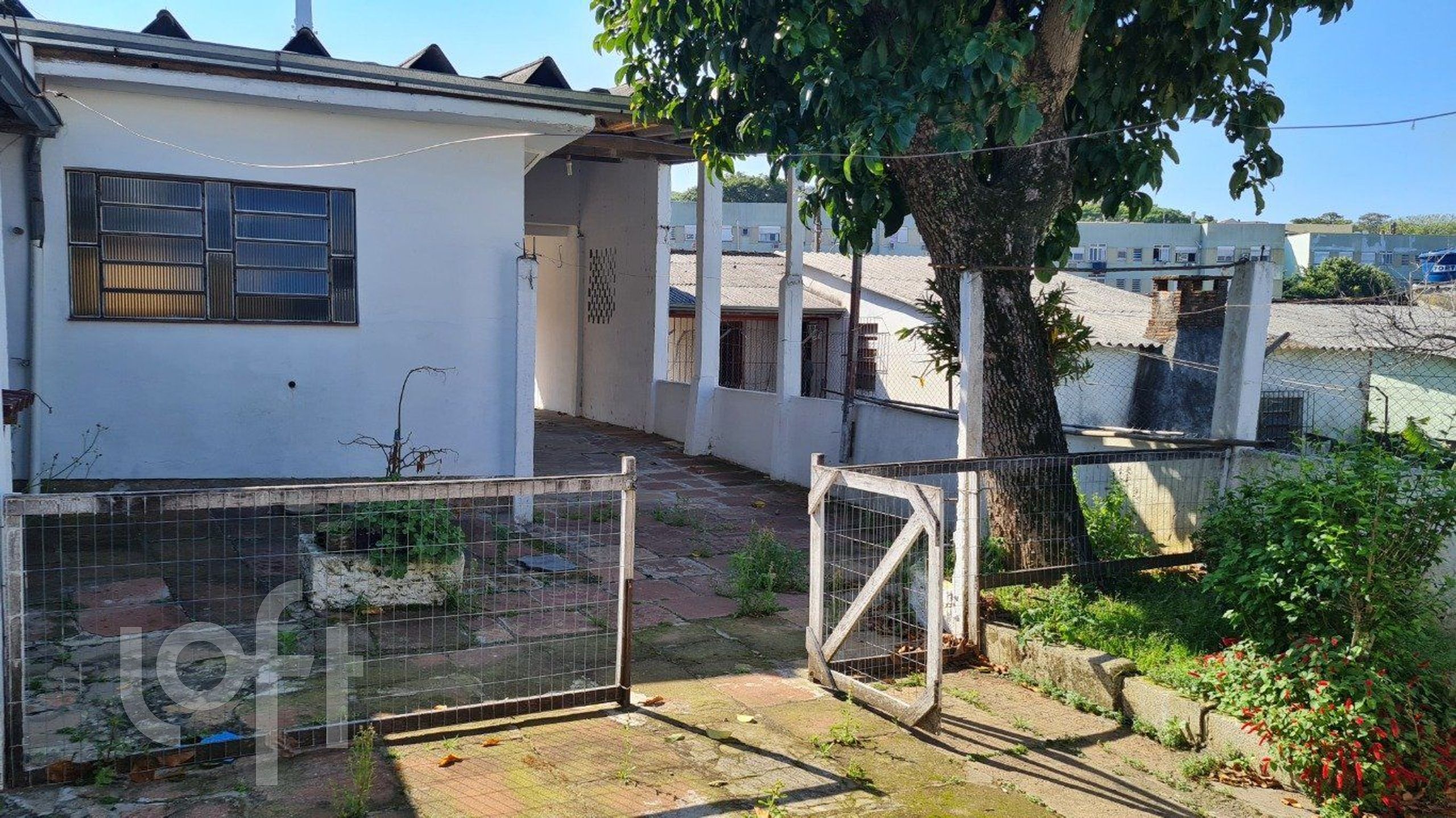 Imagem da propriedade 13