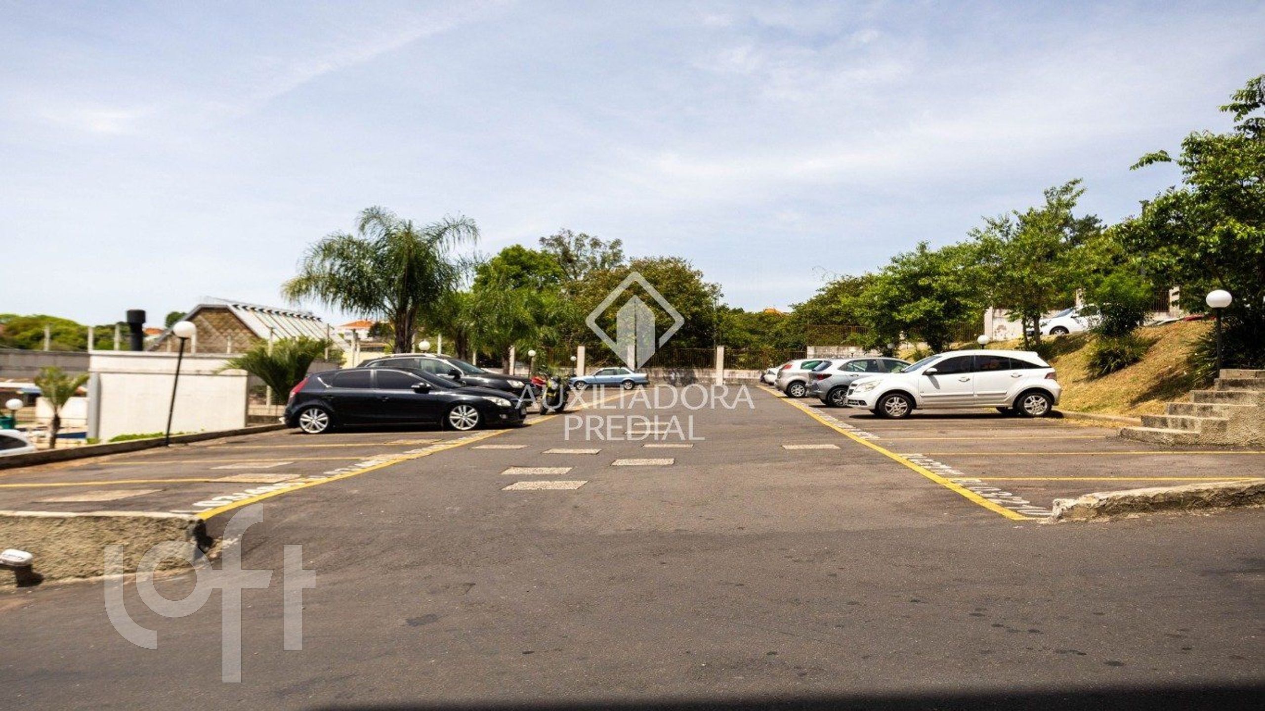 Imagem da propriedade 19