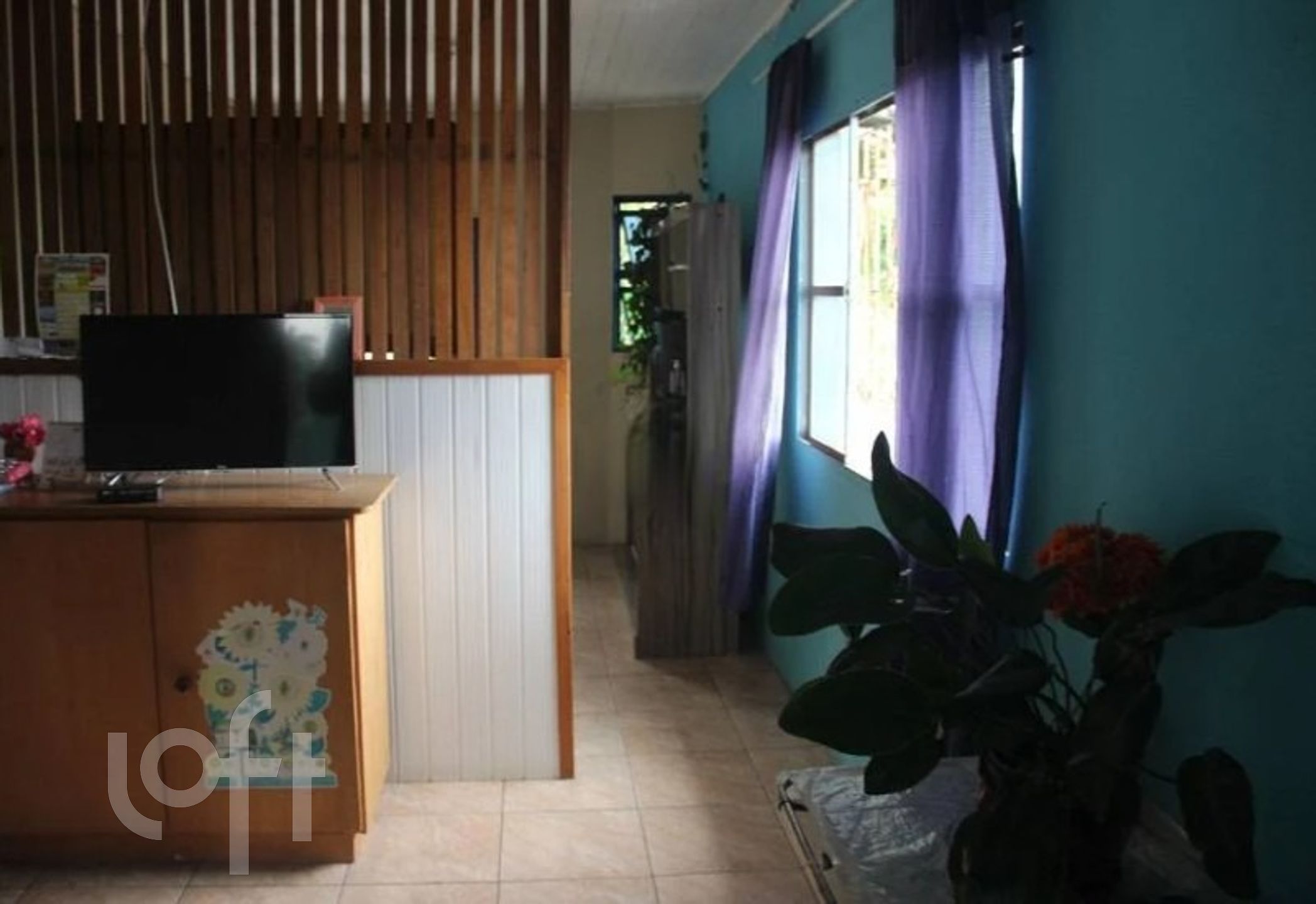 Imagem da propriedade 6