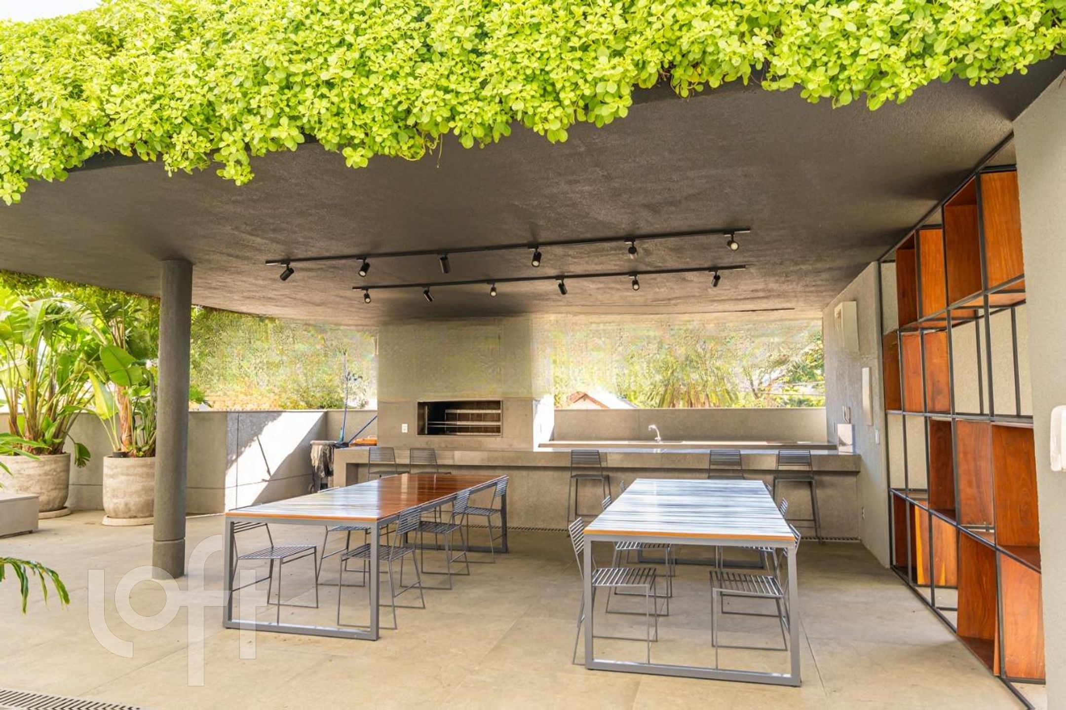 Imagem da propriedade 4