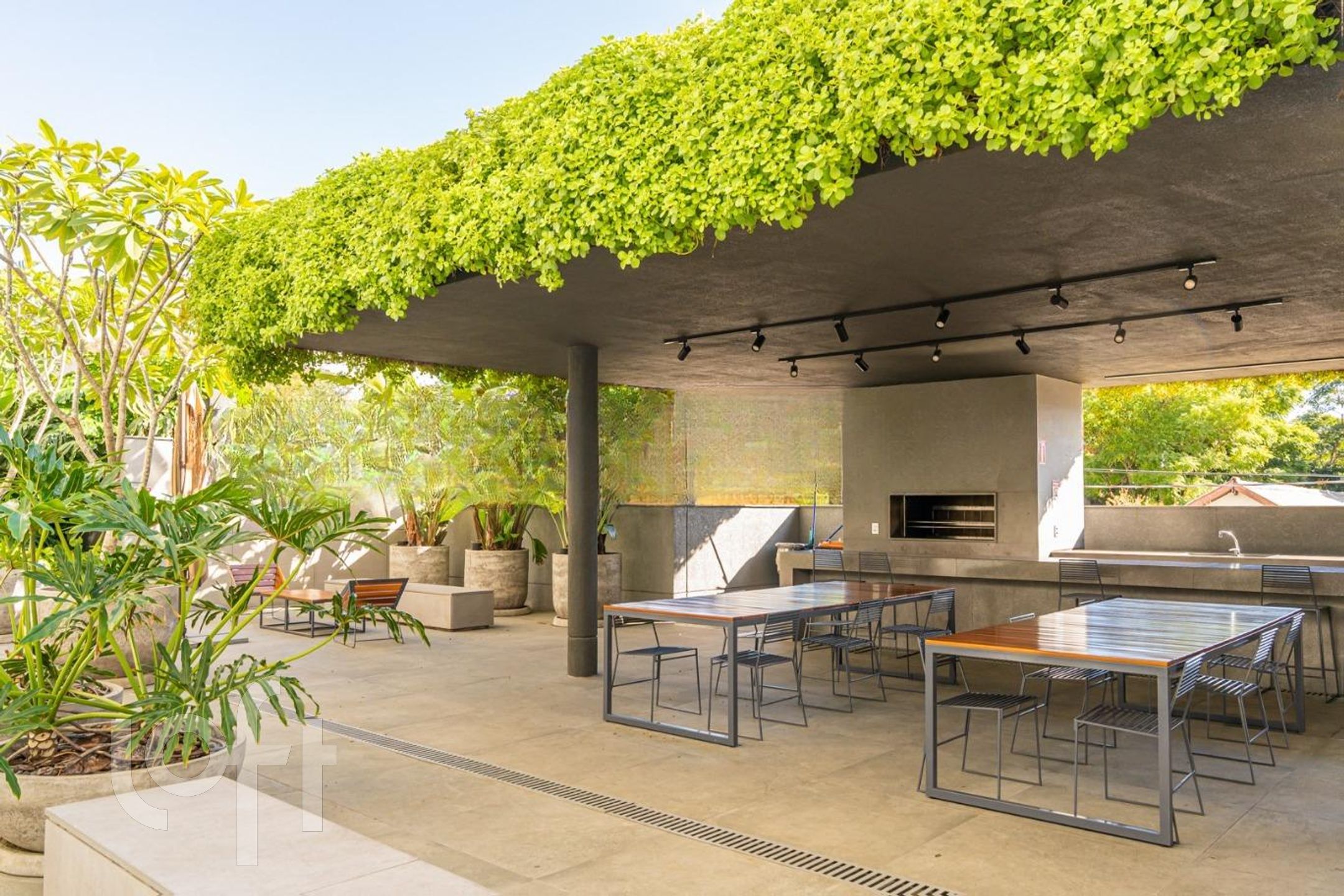 Imagem da propriedade 5