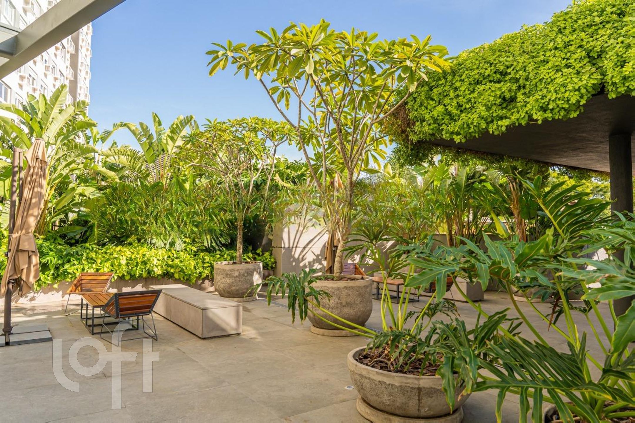 Imagem da propriedade 3