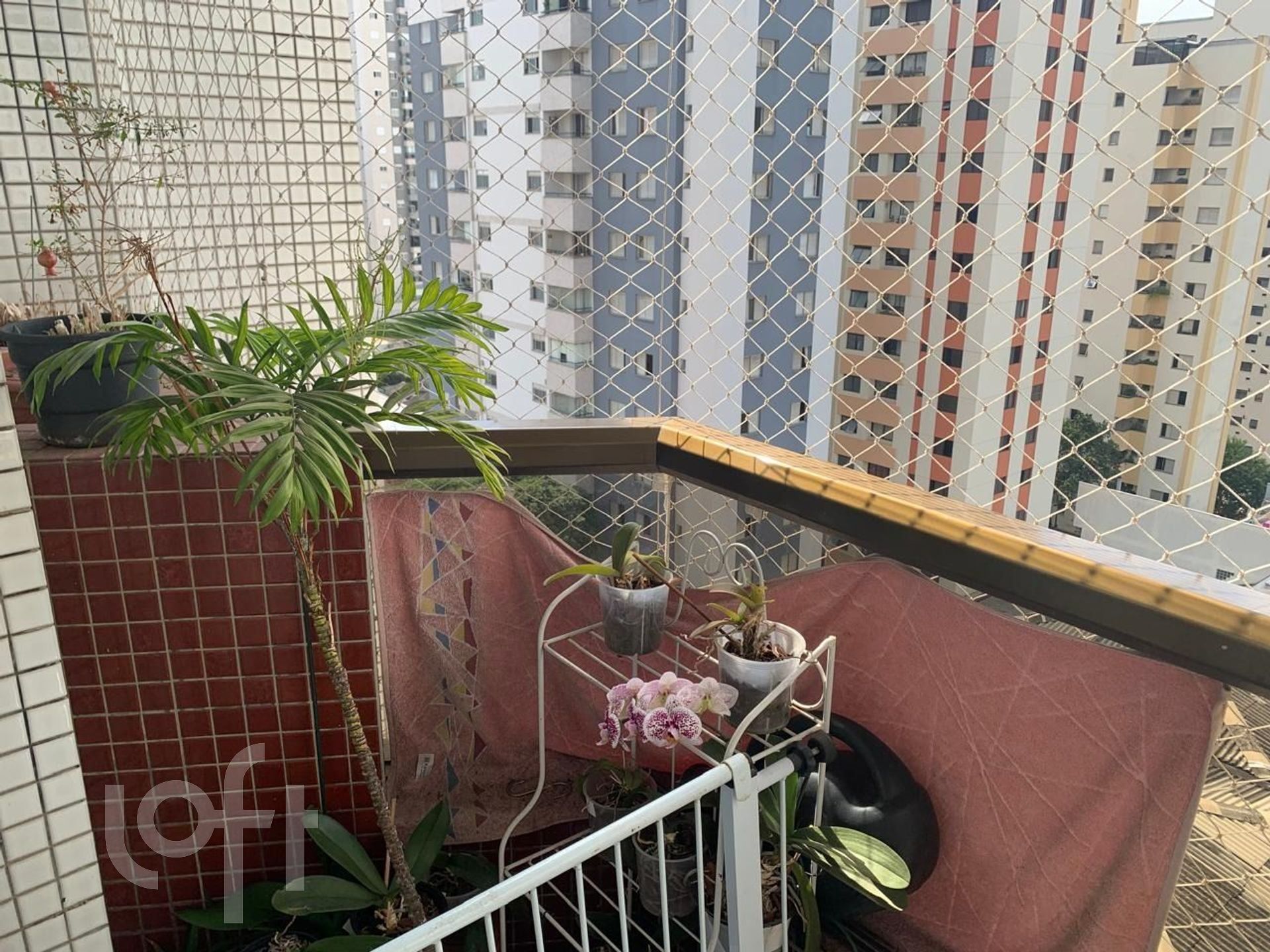 Apartamento, 3 quartos, 97 m² - Foto 5