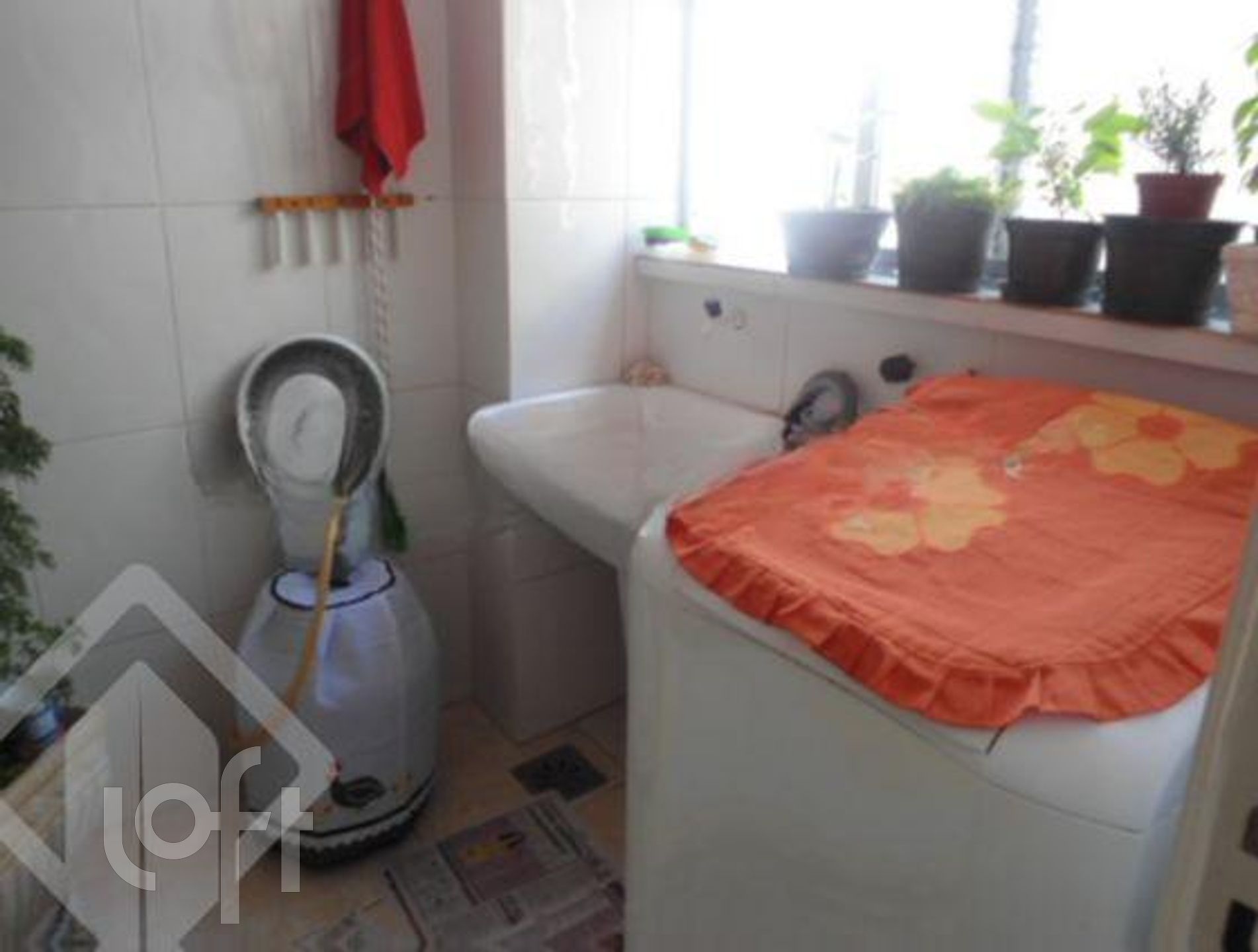 Imagem da propriedade 16