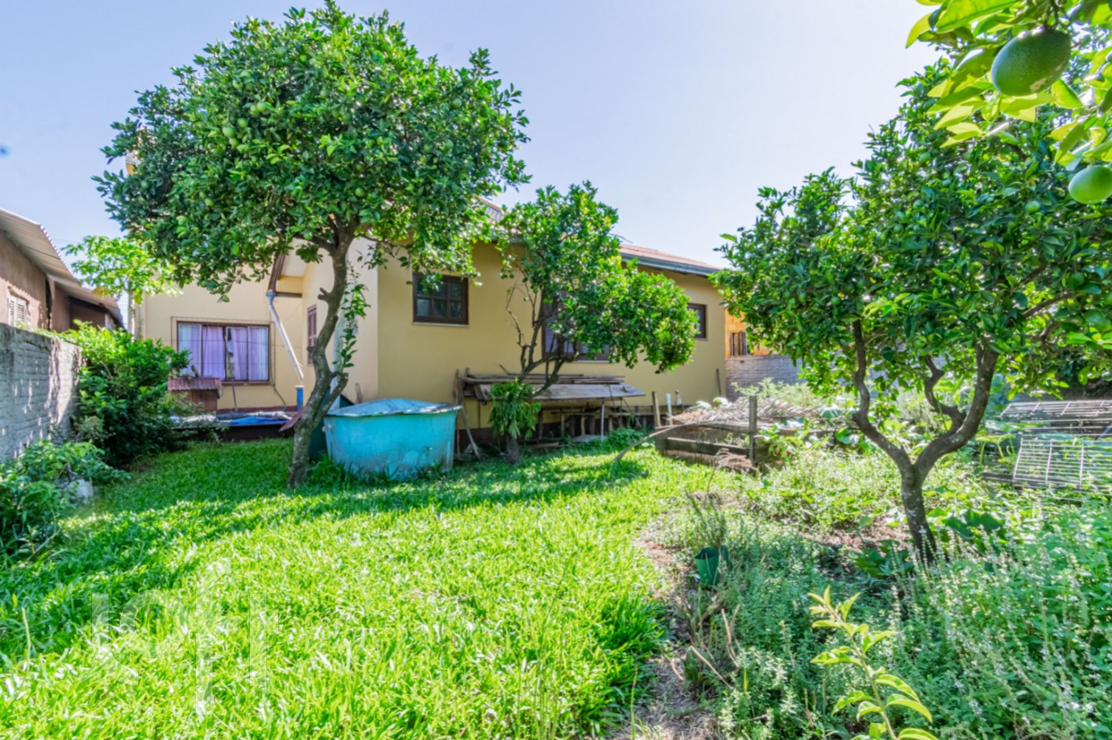 Imagem da propriedade 29