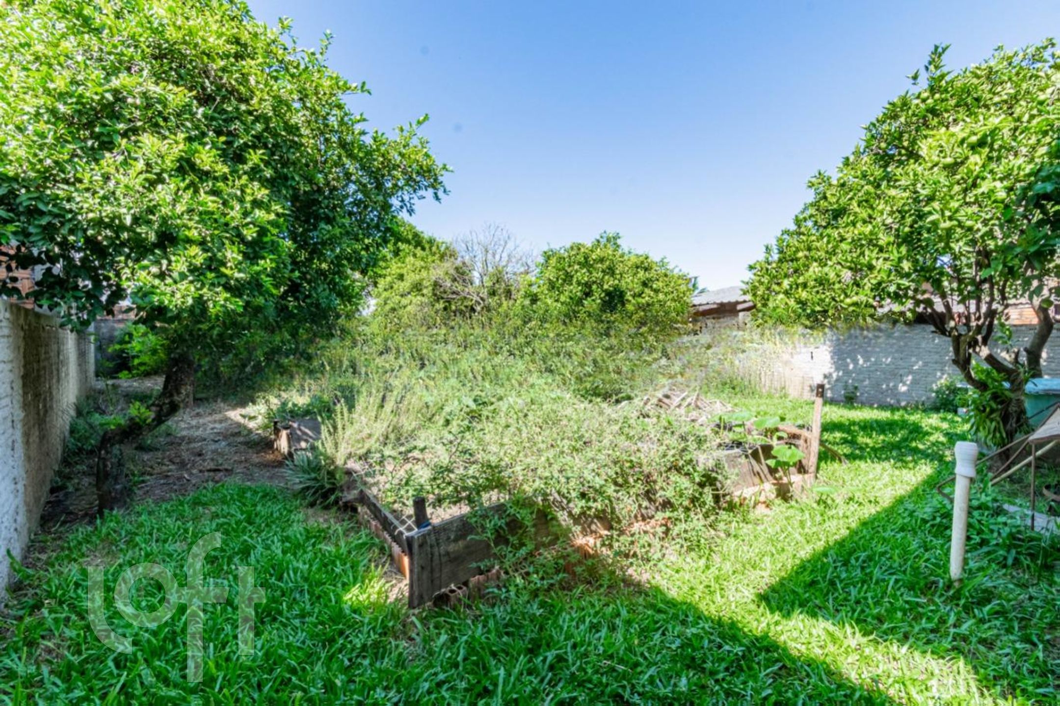 Imagem da propriedade 28