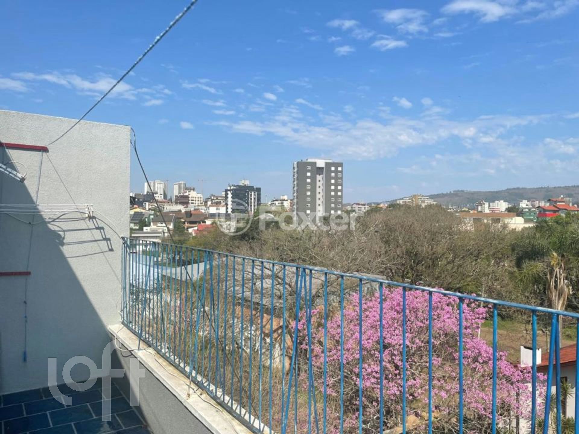 Imagem da propriedade 19