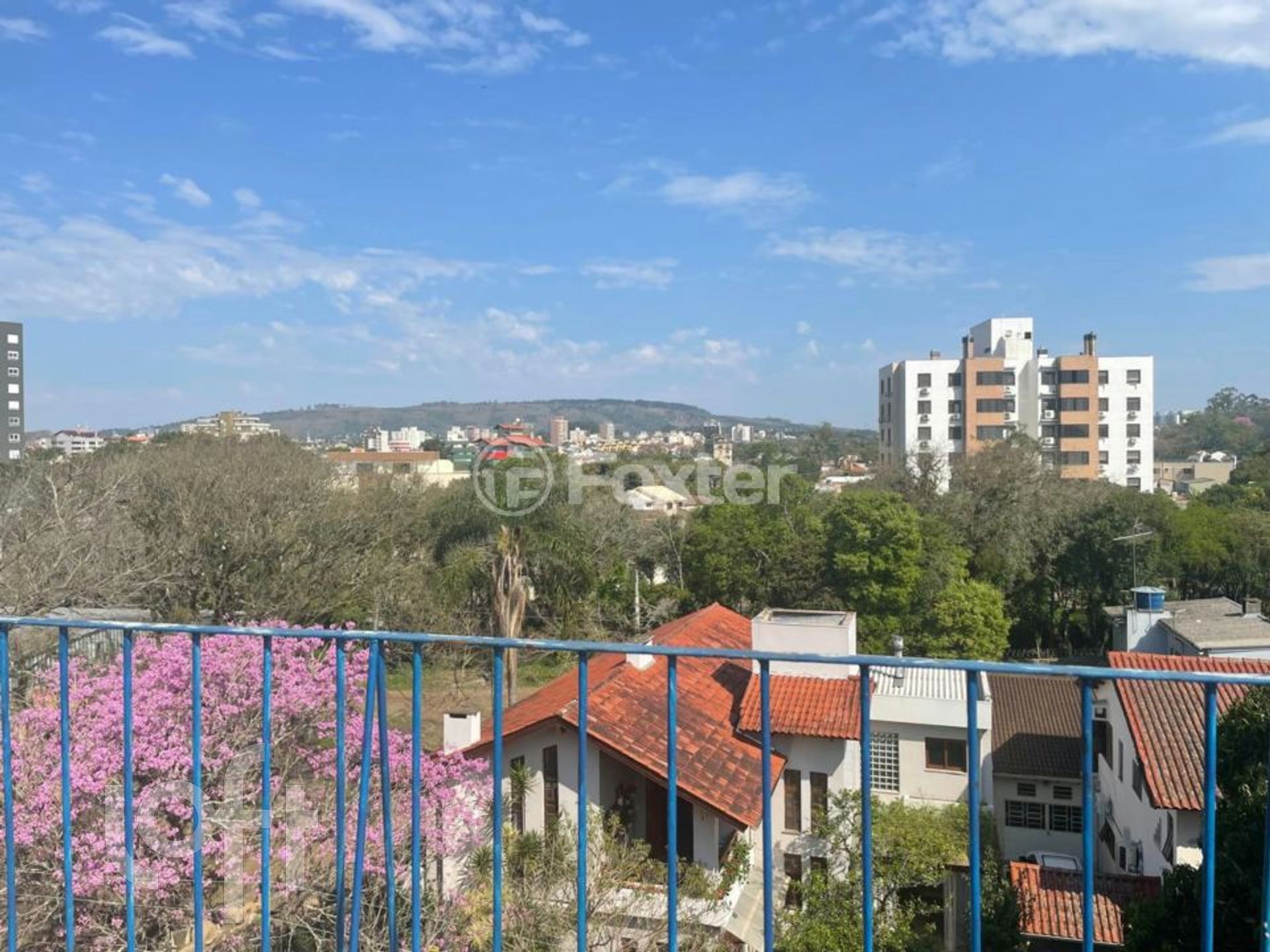 Imagem da propriedade 18