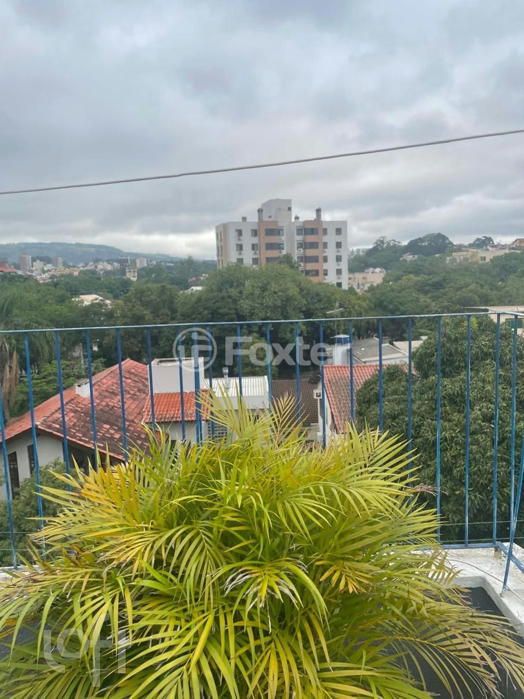 Imagem da propriedade 39