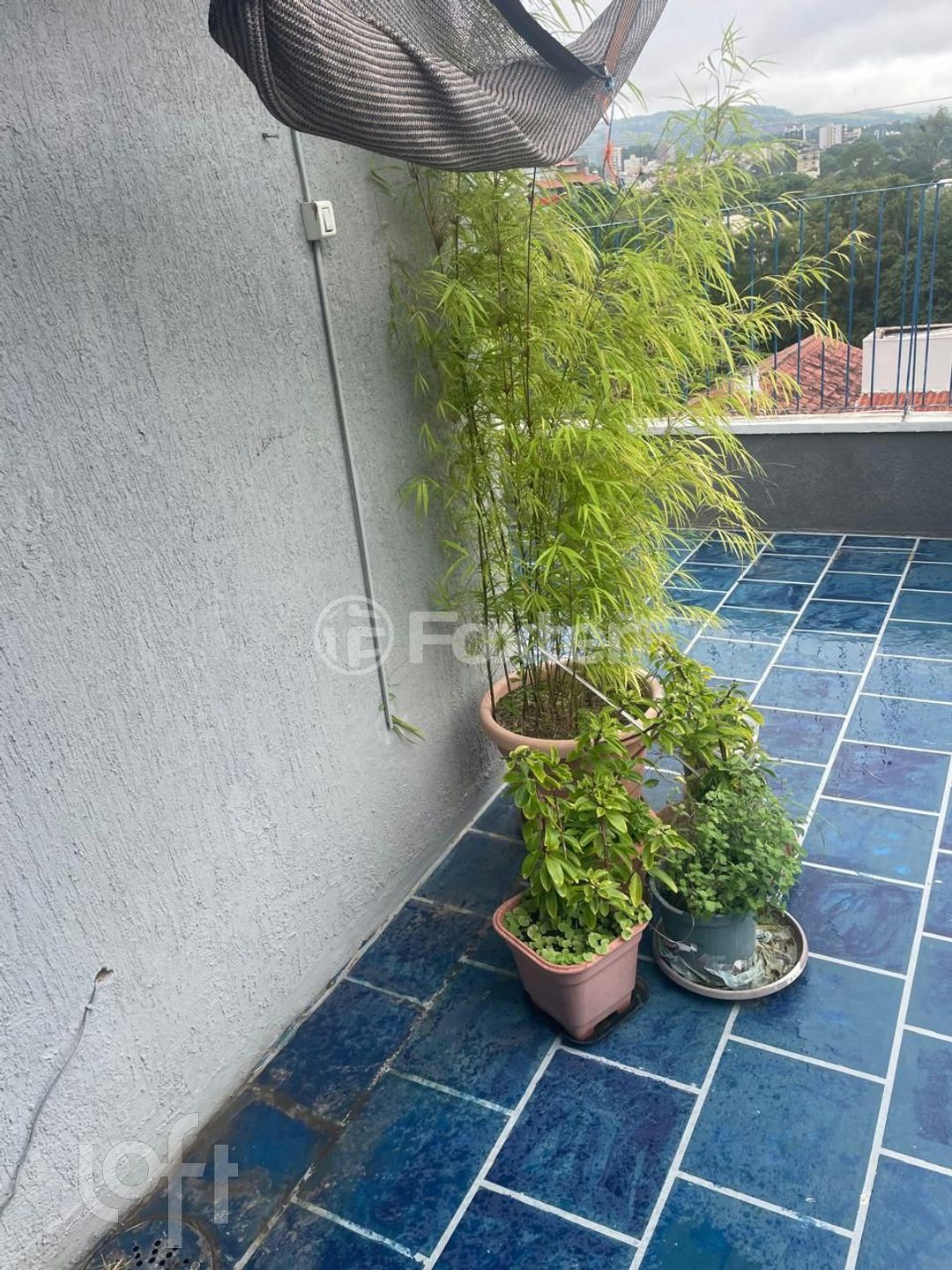 Imagem da propriedade 72