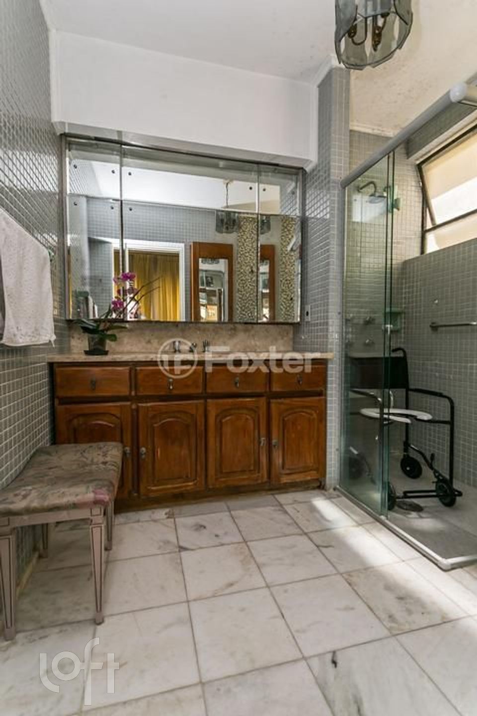 Imagem da propriedade 10