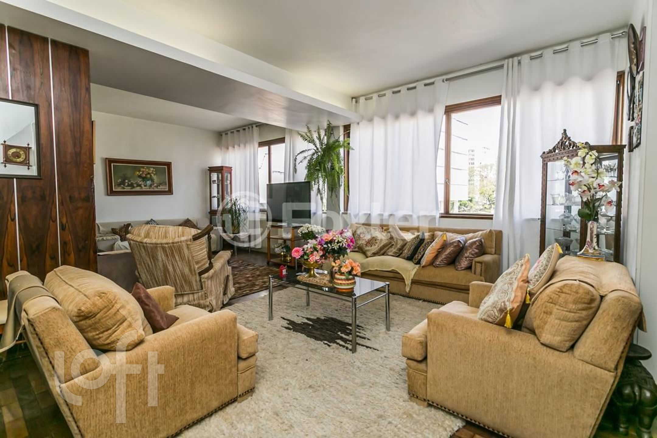 Imagem da propriedade 3