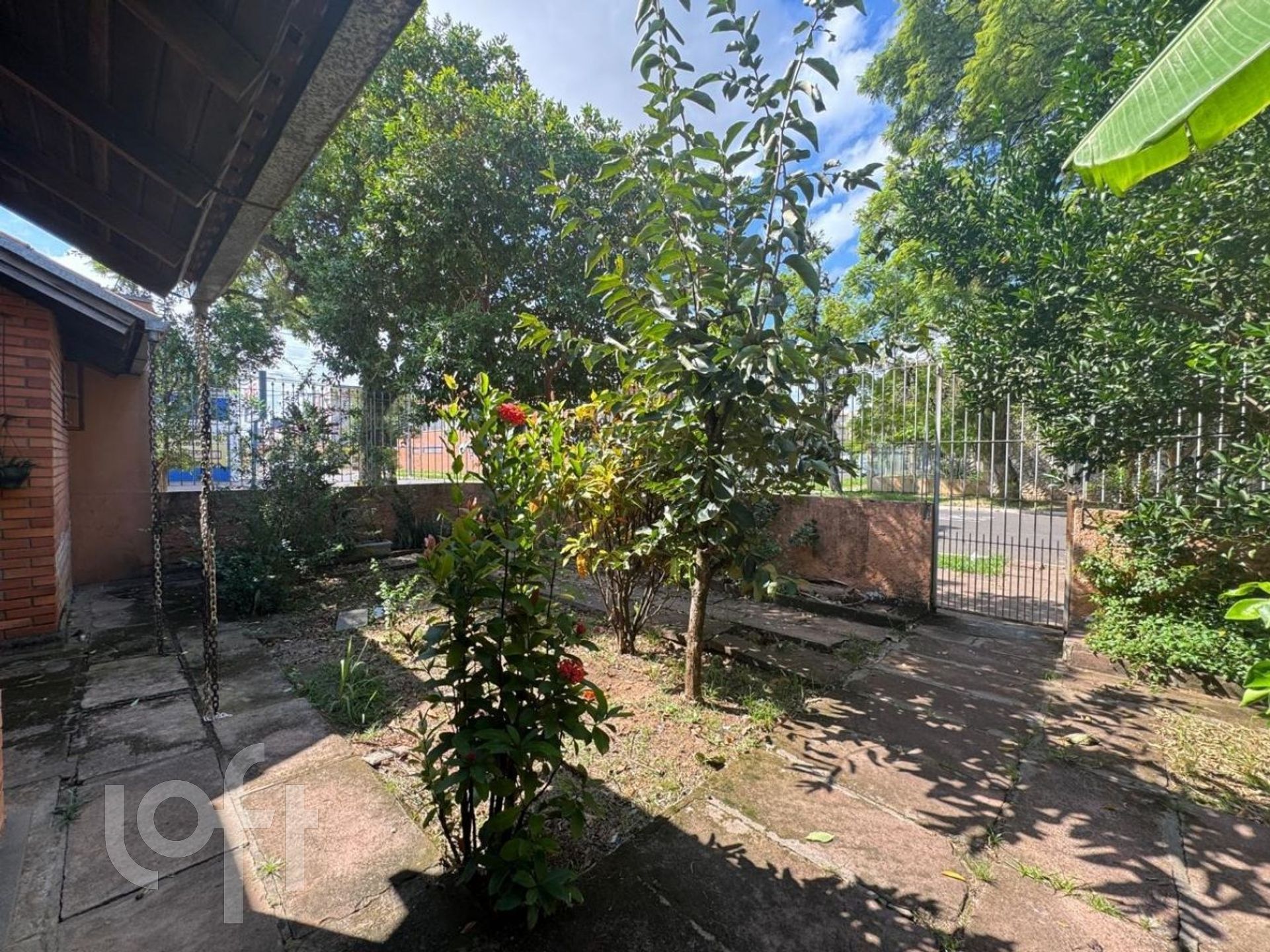 Imagem da propriedade 3