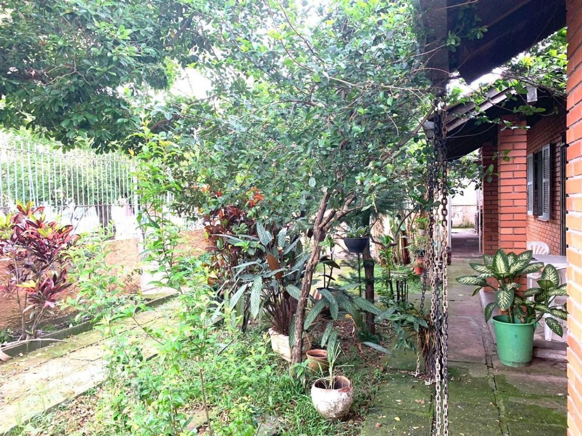 Imagem da propriedade 5