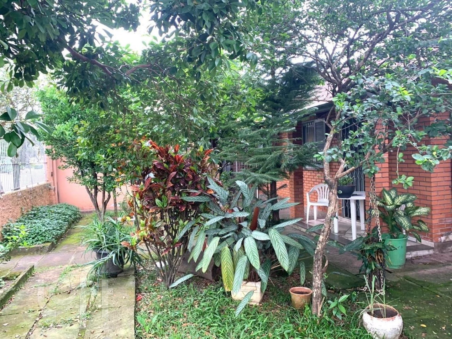 Imagem da propriedade 4