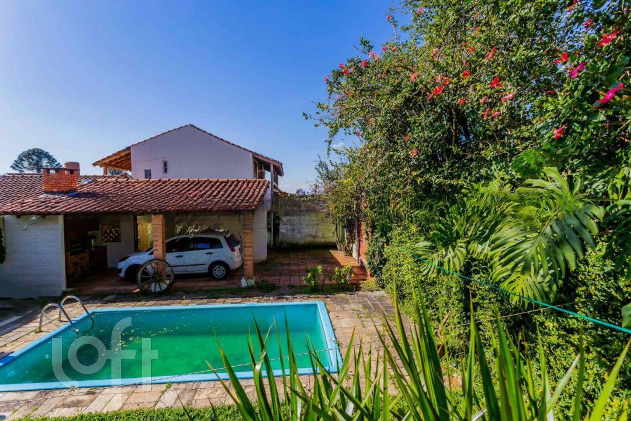 Imagem da propriedade 16