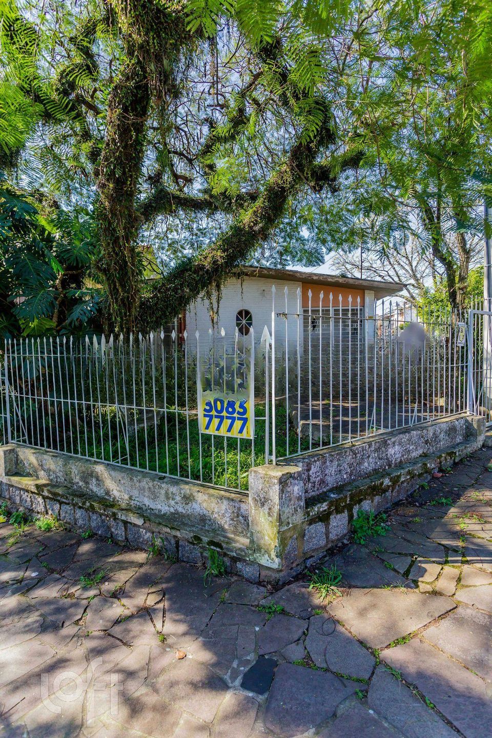 Imagem da propriedade 38