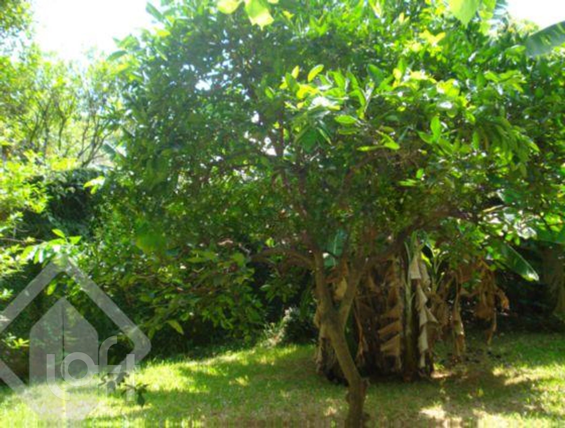 Imagem da propriedade 31