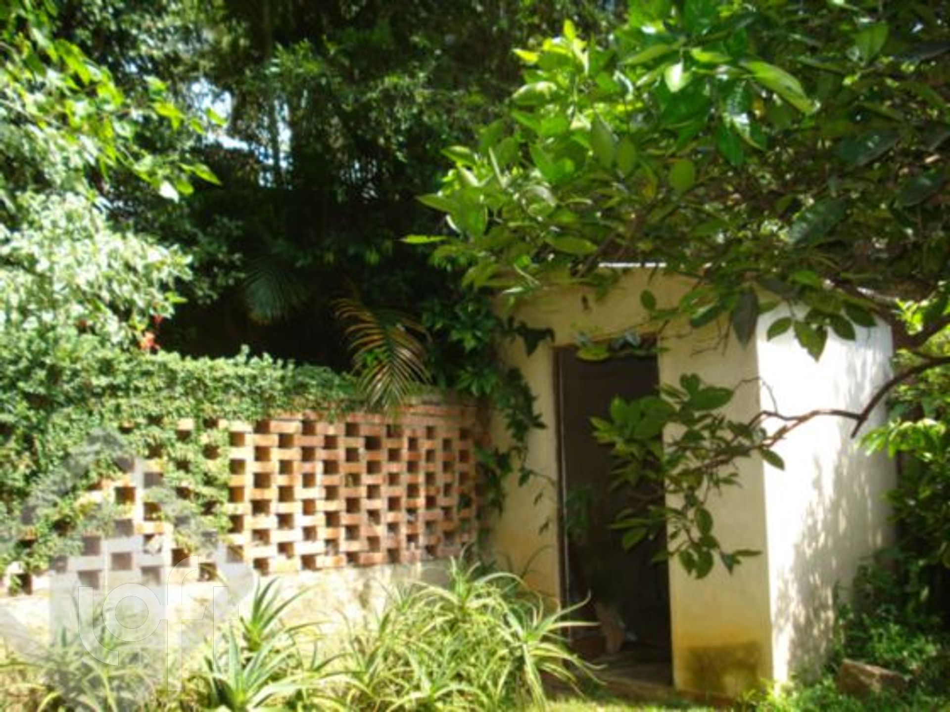 Imagem da propriedade 30