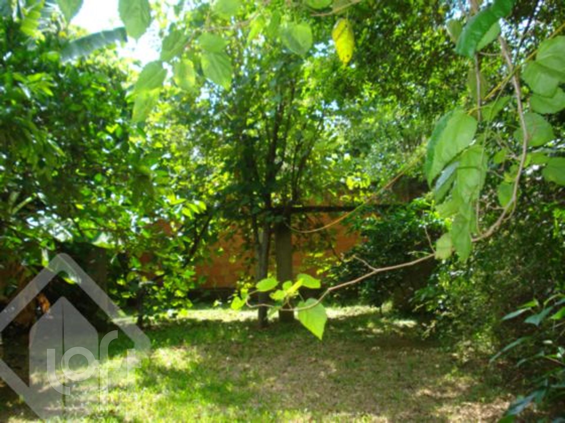 Imagem da propriedade 32