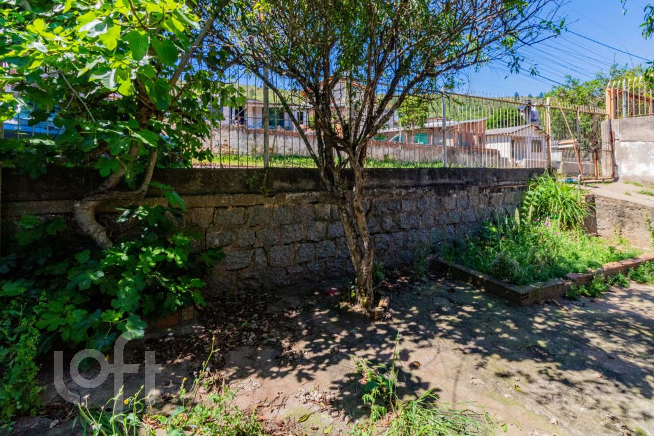 Imagem da propriedade 22