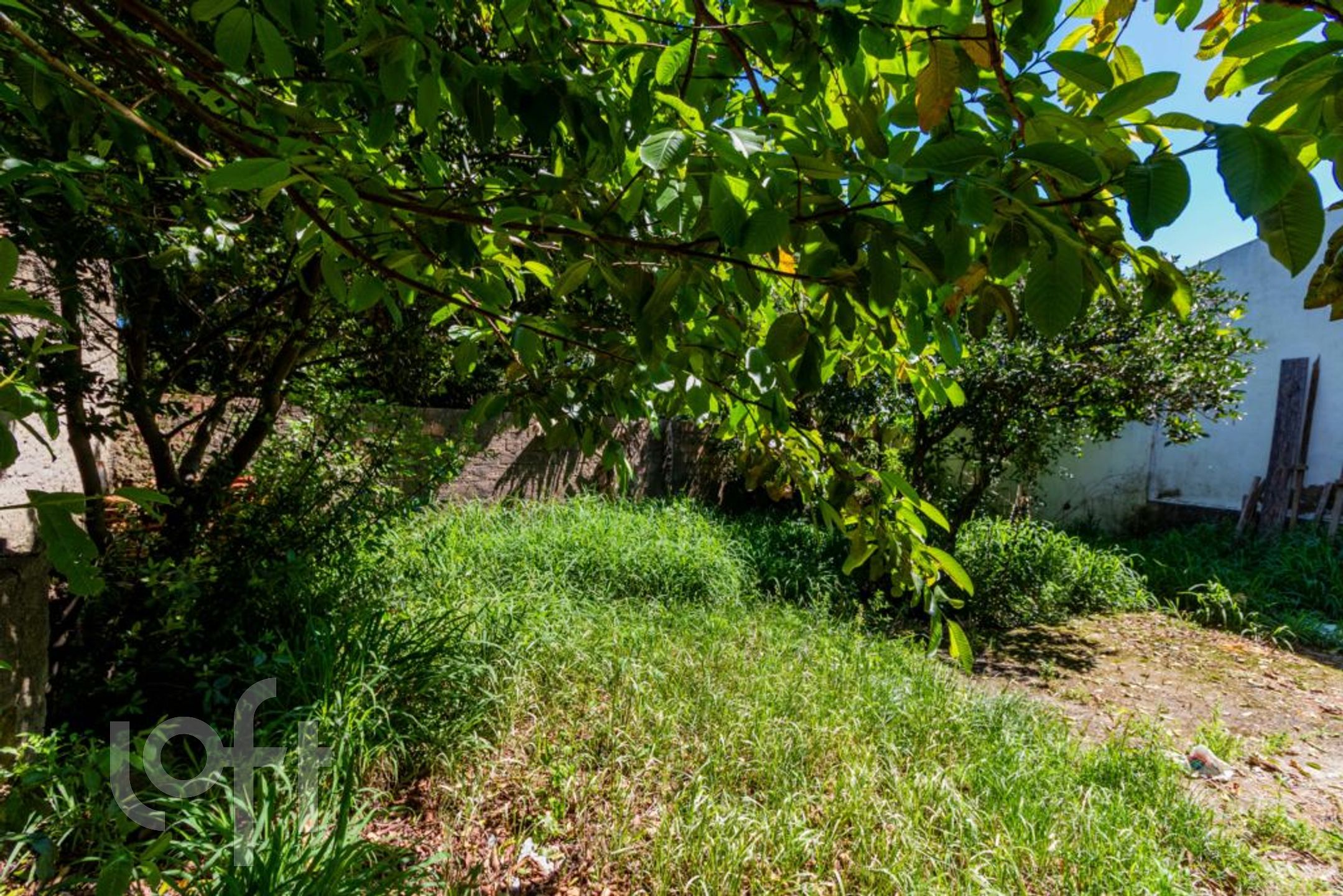 Imagem da propriedade 40