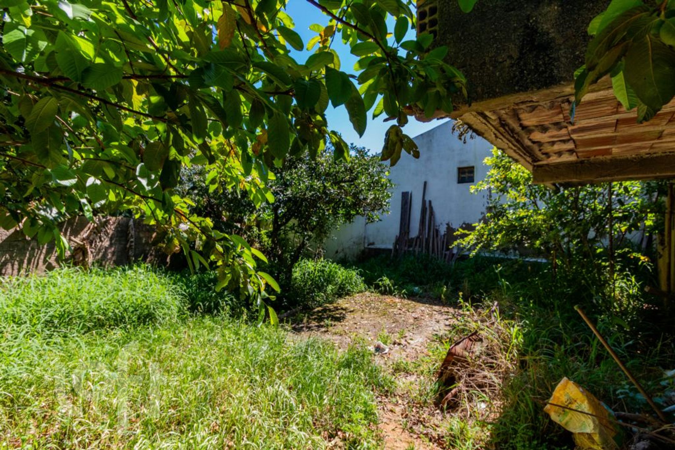 Imagem da propriedade 39