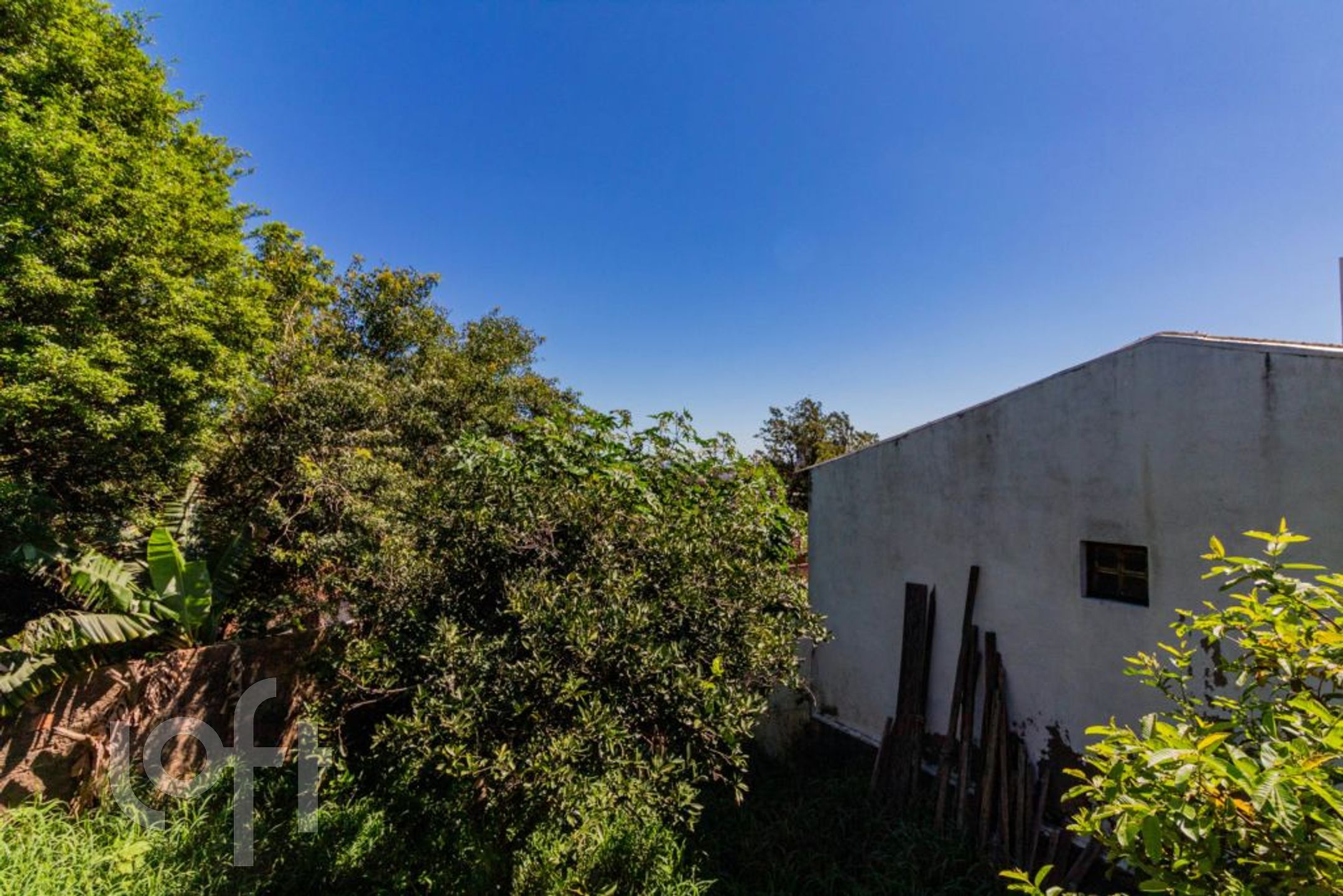 Imagem da propriedade 12