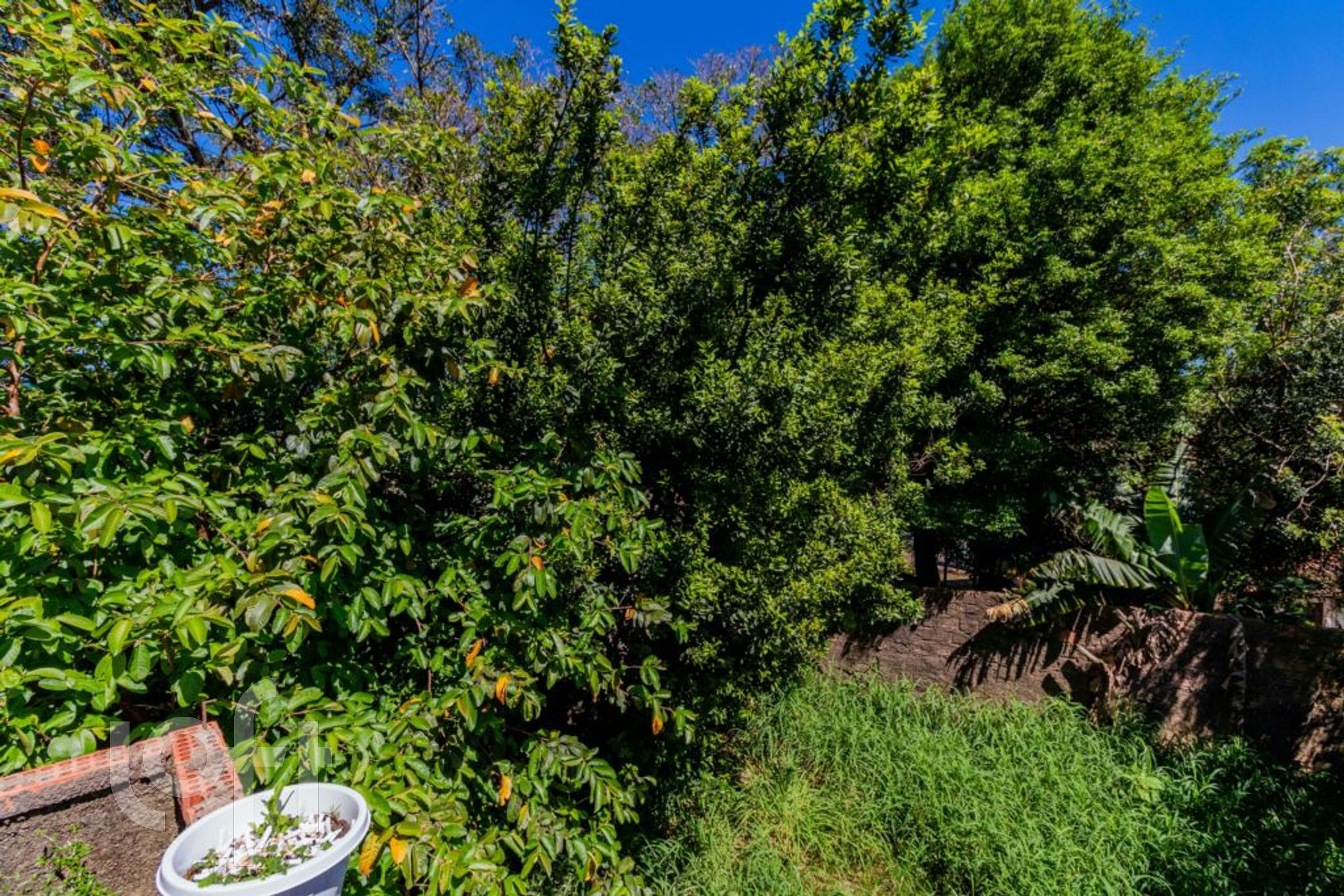 Imagem da propriedade 10