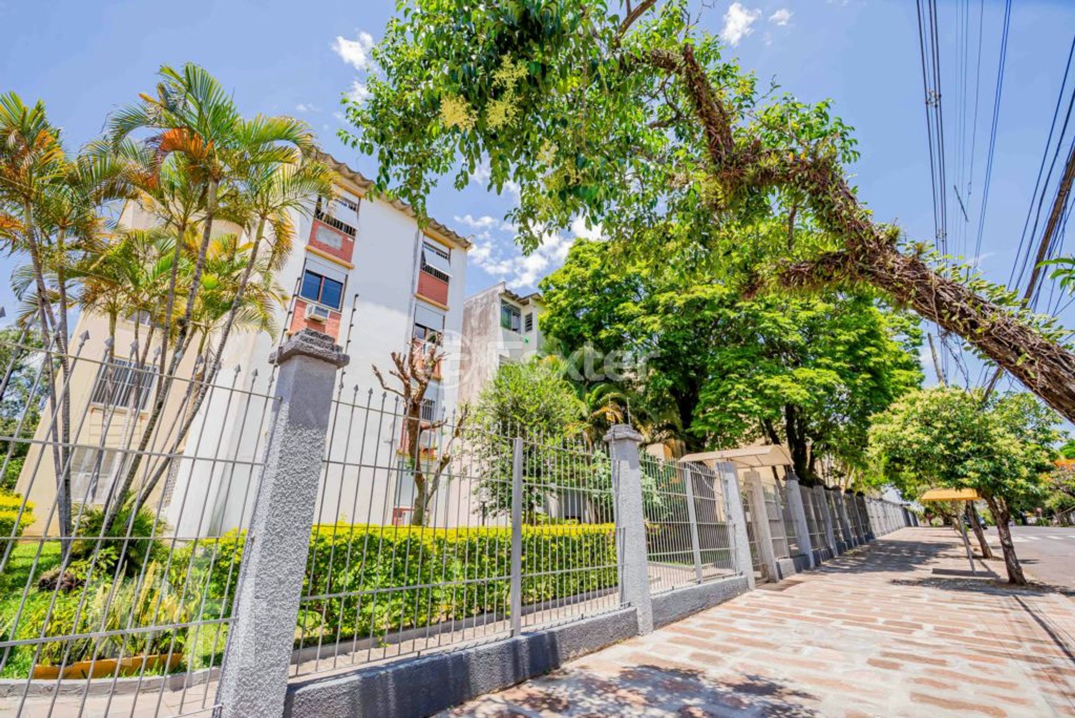 Imagem da propriedade 15