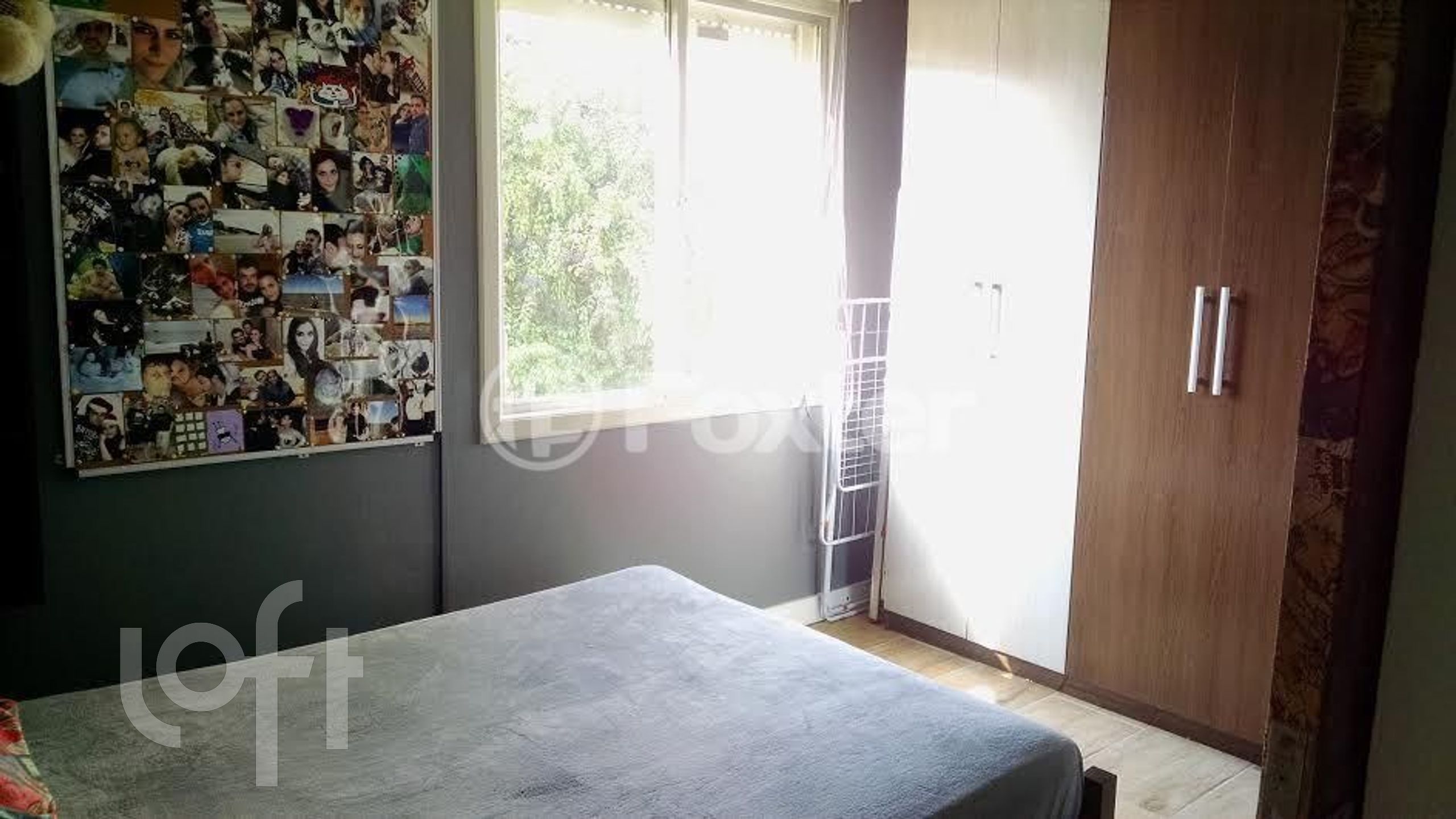 Imagem da propriedade 10