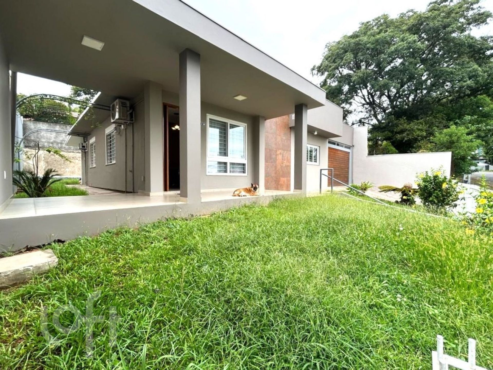 Imagem da propriedade 35