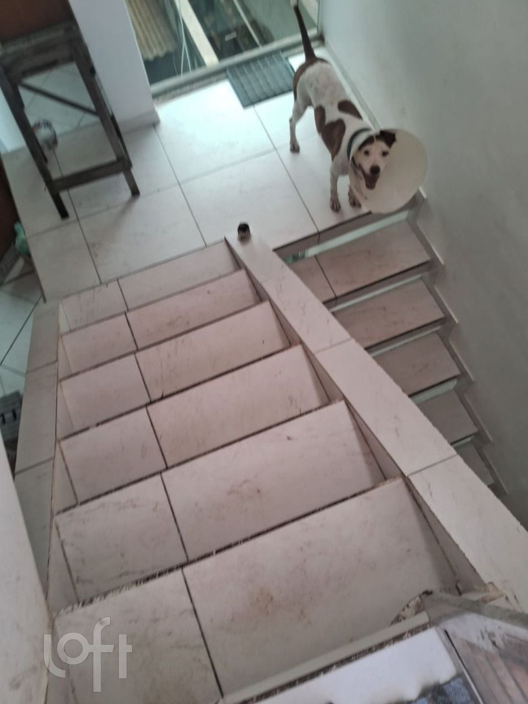 Imagem da propriedade 22