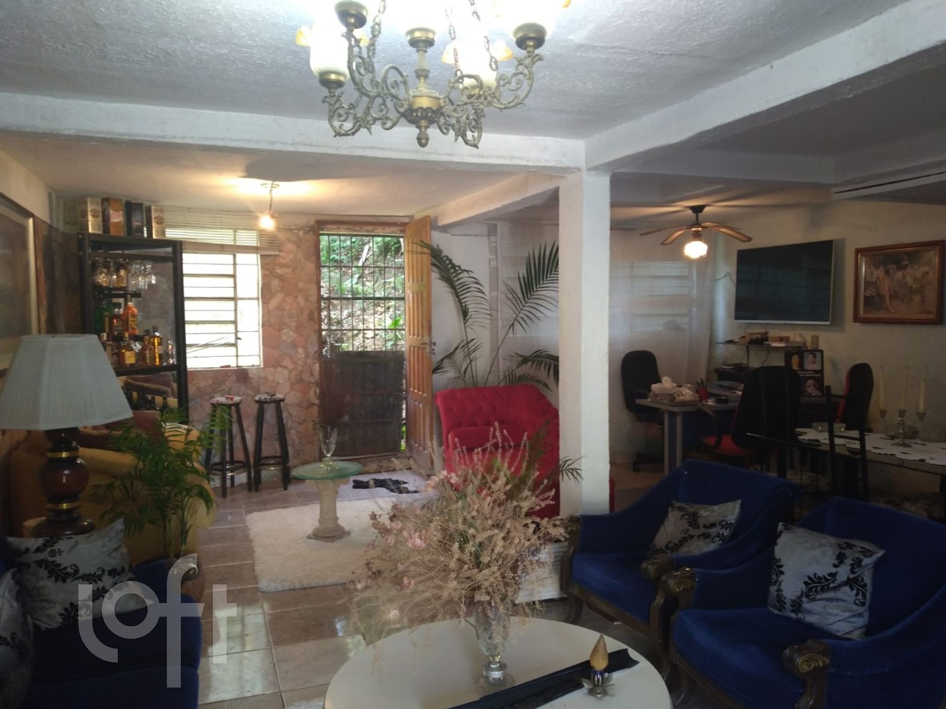 Imagem da propriedade 3