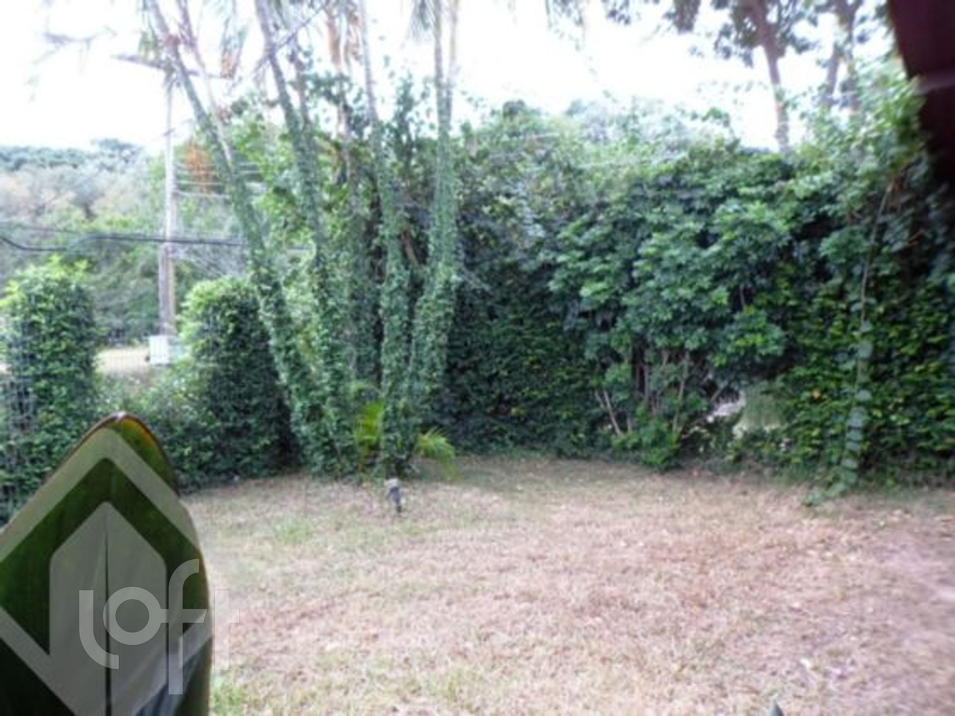 Imagem da propriedade 19