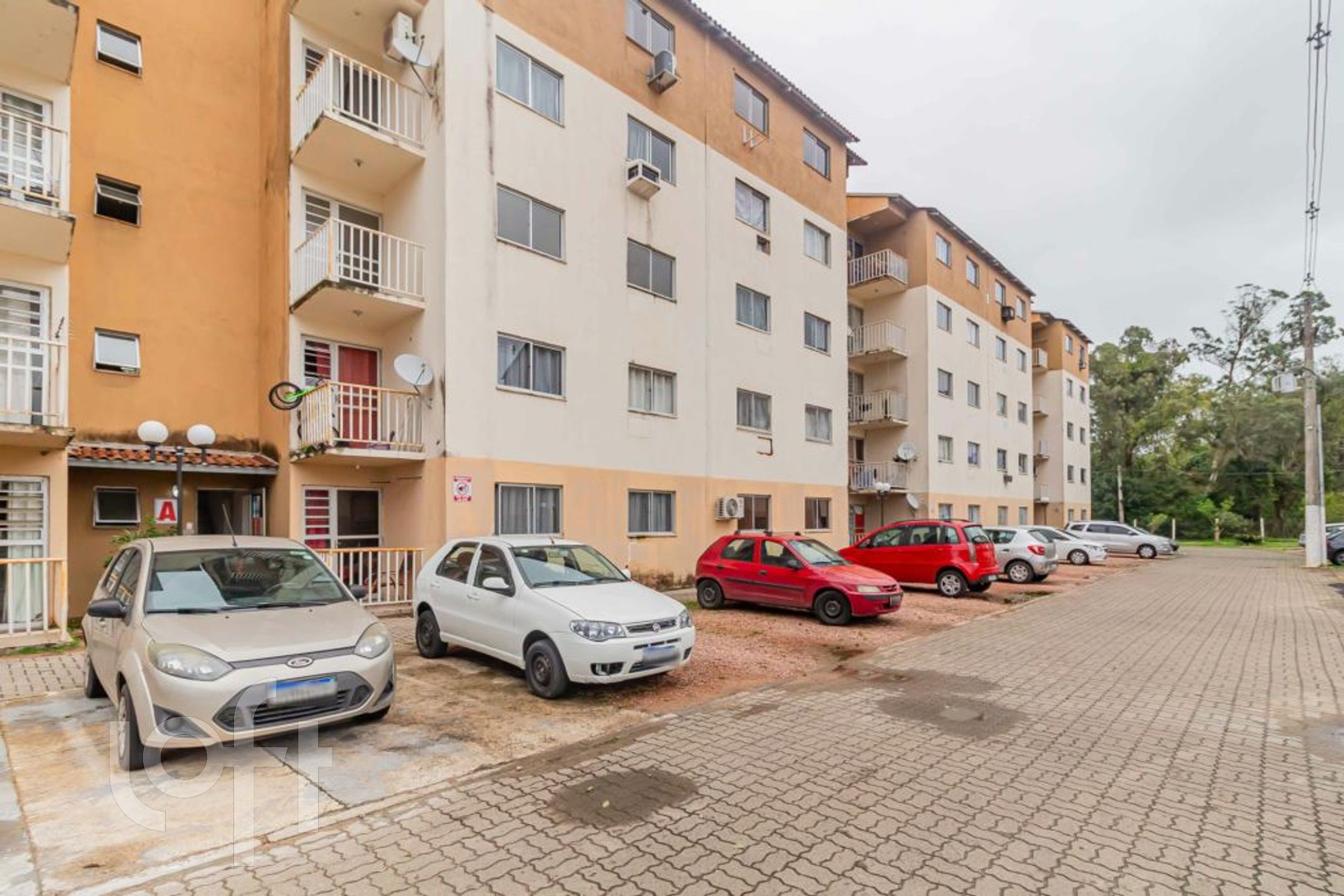 Imagem da propriedade 27